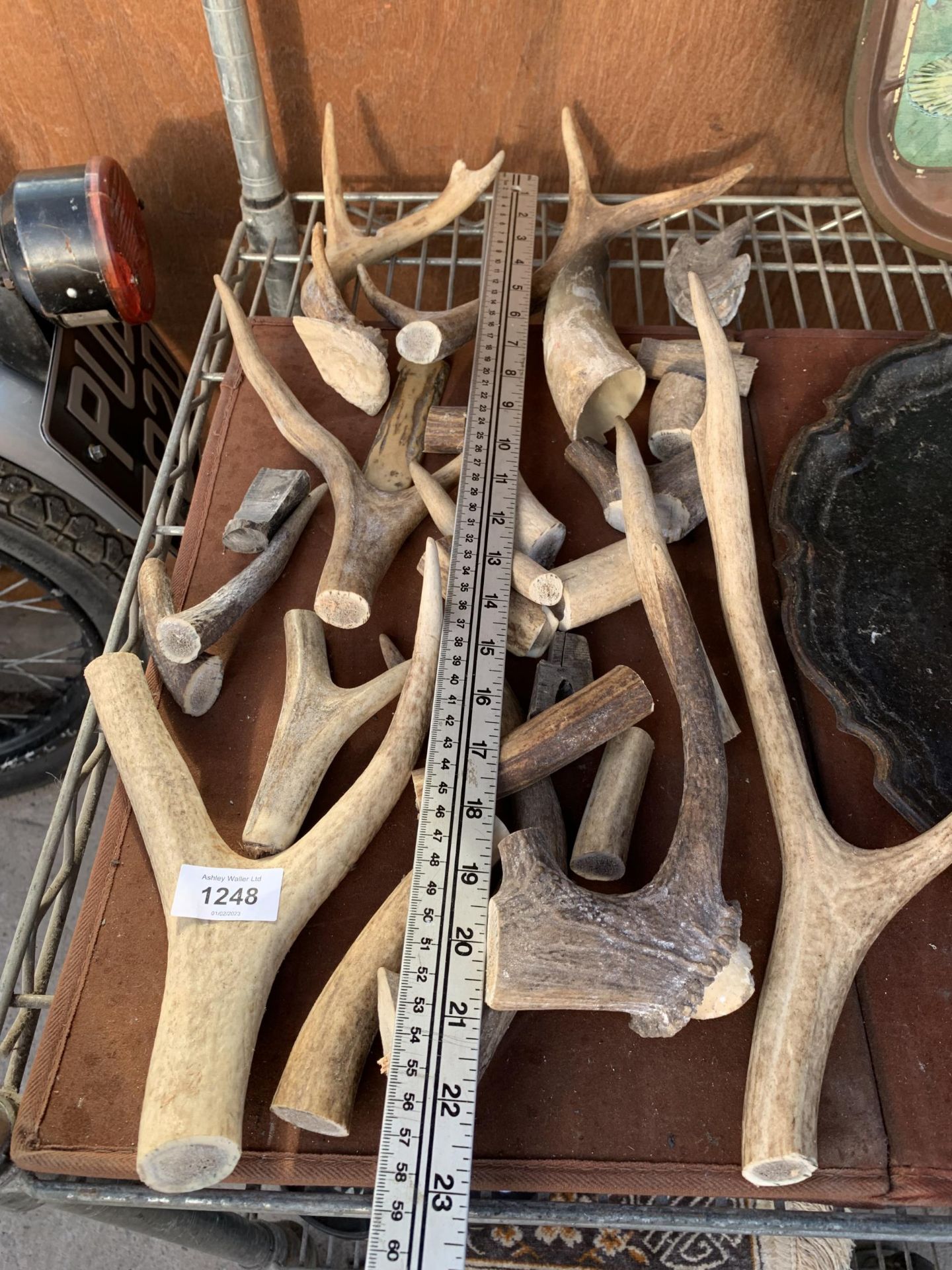 A LARGE ASSORTMENT OF STICK AND WHISTLE MAKING HORN AND ANTLER - Image 3 of 3