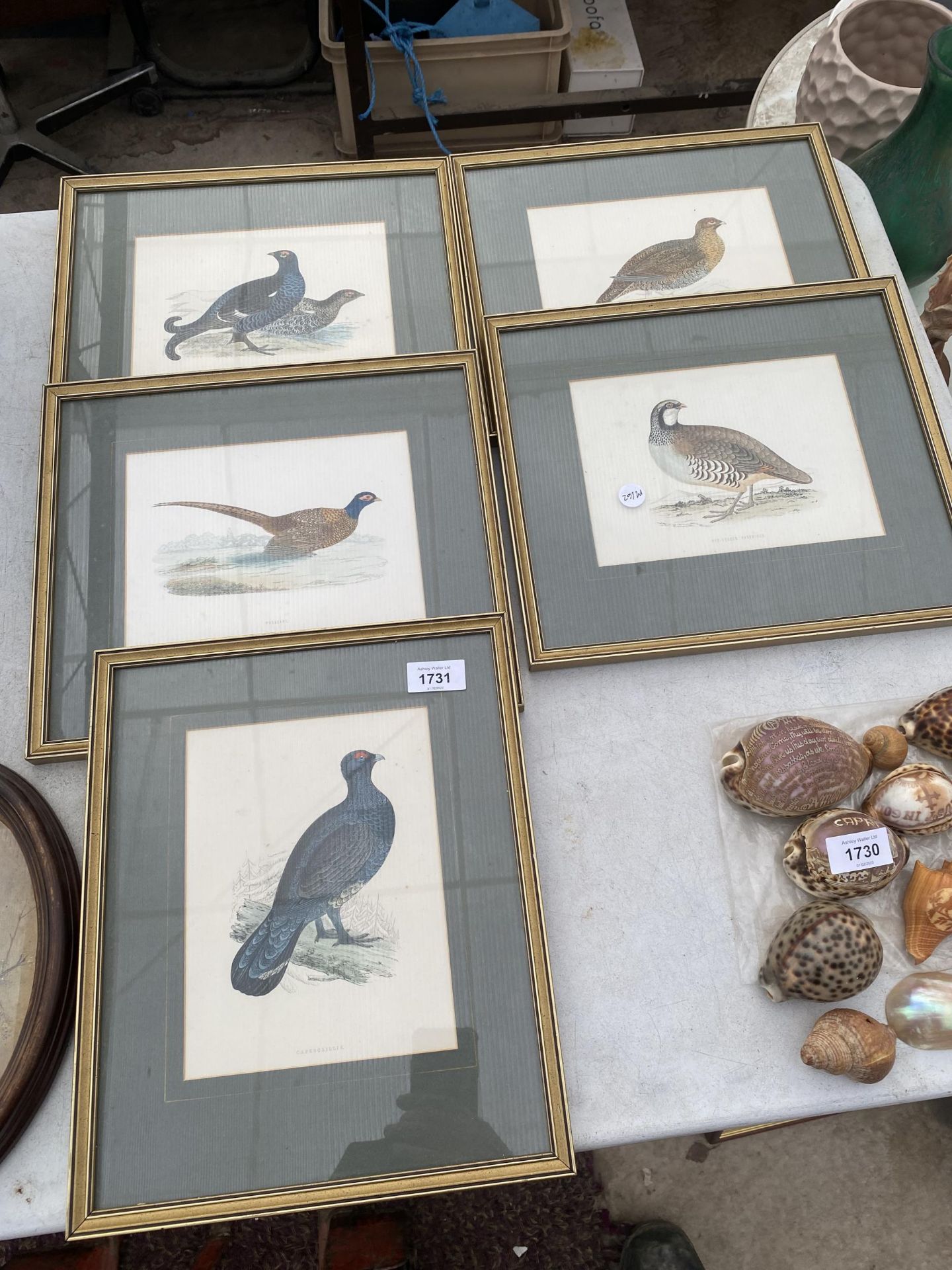 FIVE VARIOUS FRAMED BIRD PRINTS