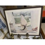 A FRAMED PRINT OF A SIAMESE CAT