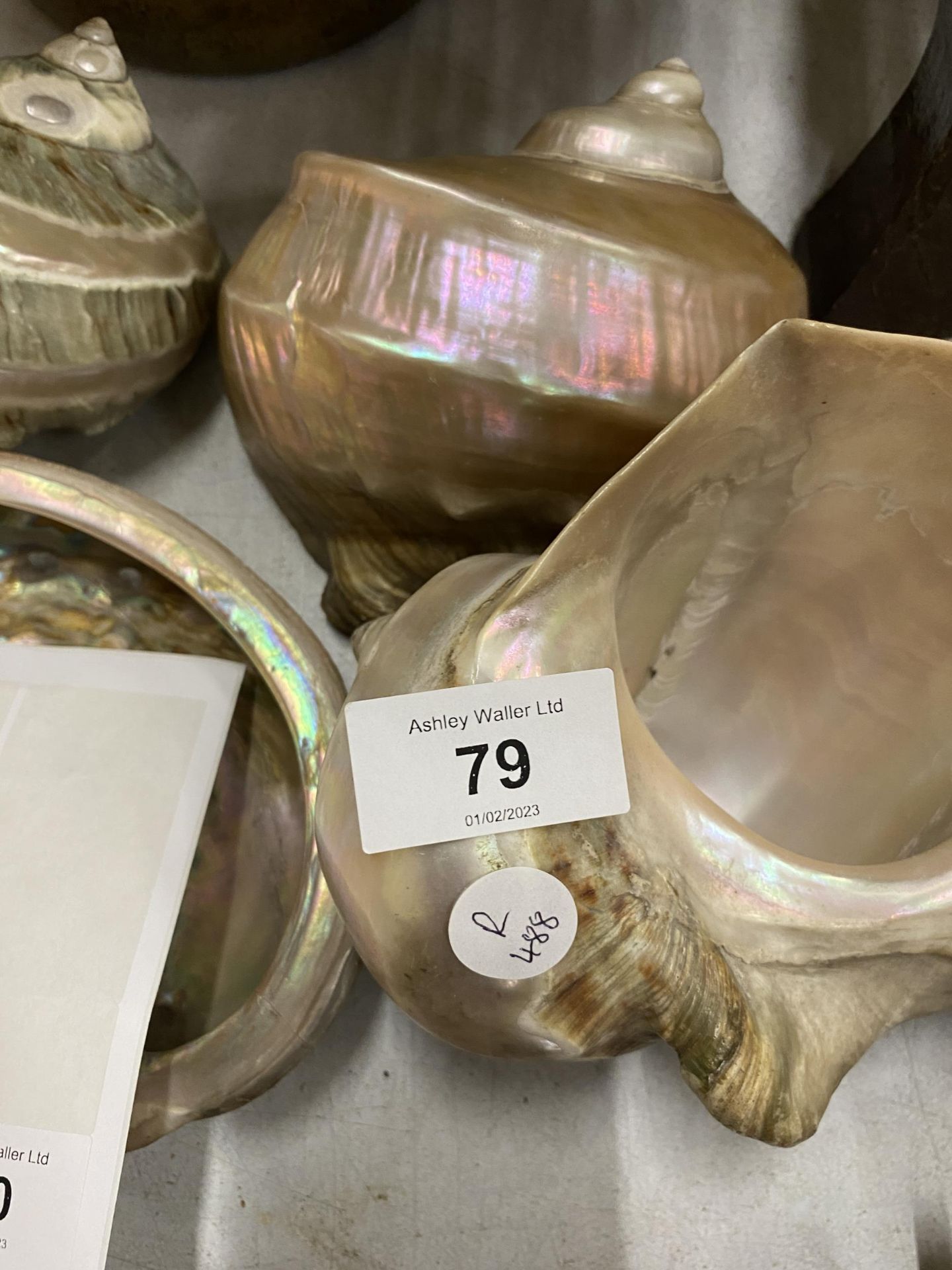 A COLLECTION OF ASSORTED MOTHER OF PEARL SHELLS - Bild 2 aus 2