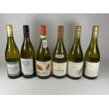 6 X MIXED BOTTLES OF WHITE WINE - 5 X VIOGNIER & LANGUEDOC