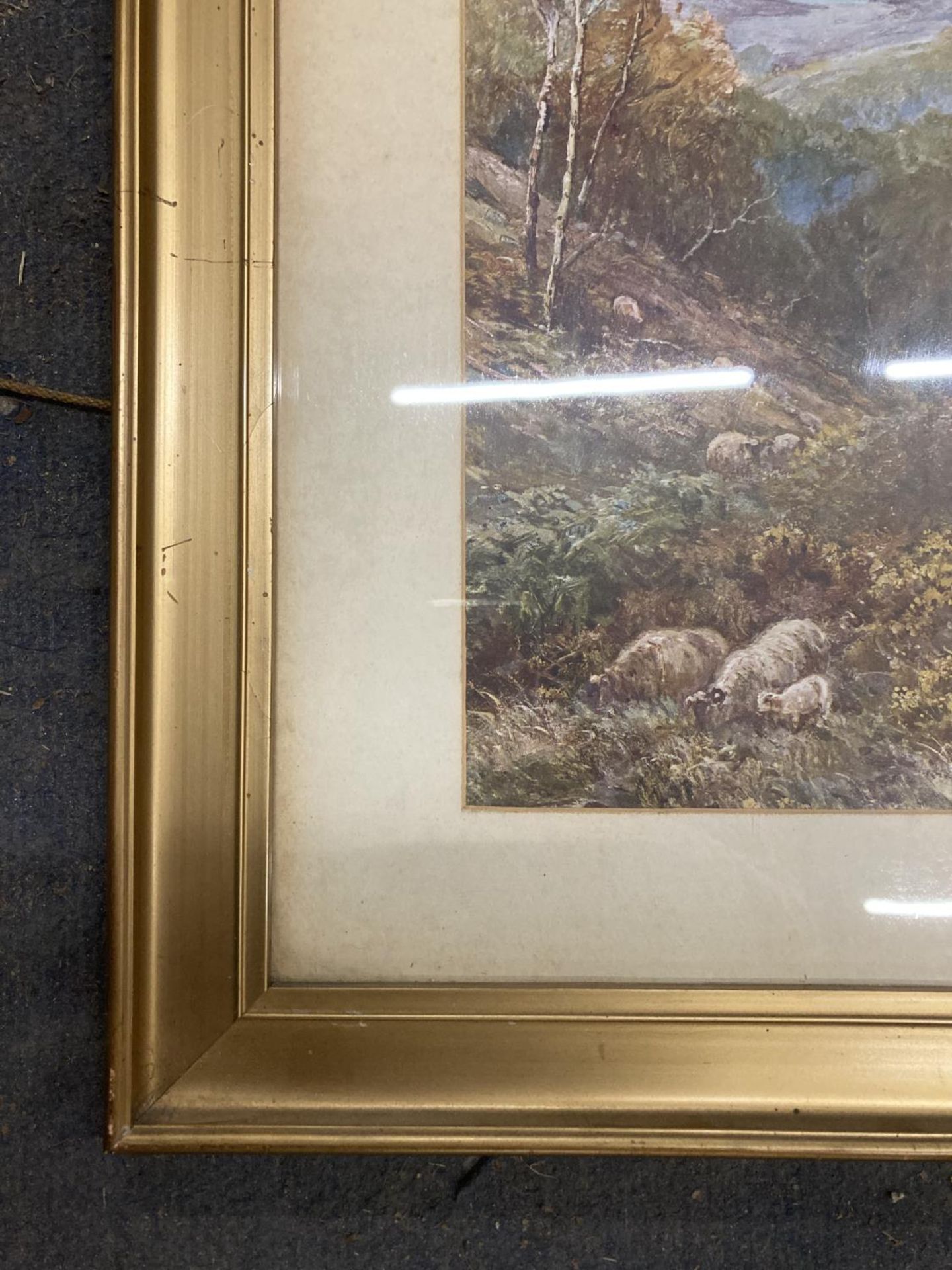 A PAIR OF FRAMED WOODLAND PRINTS - Image 2 of 3