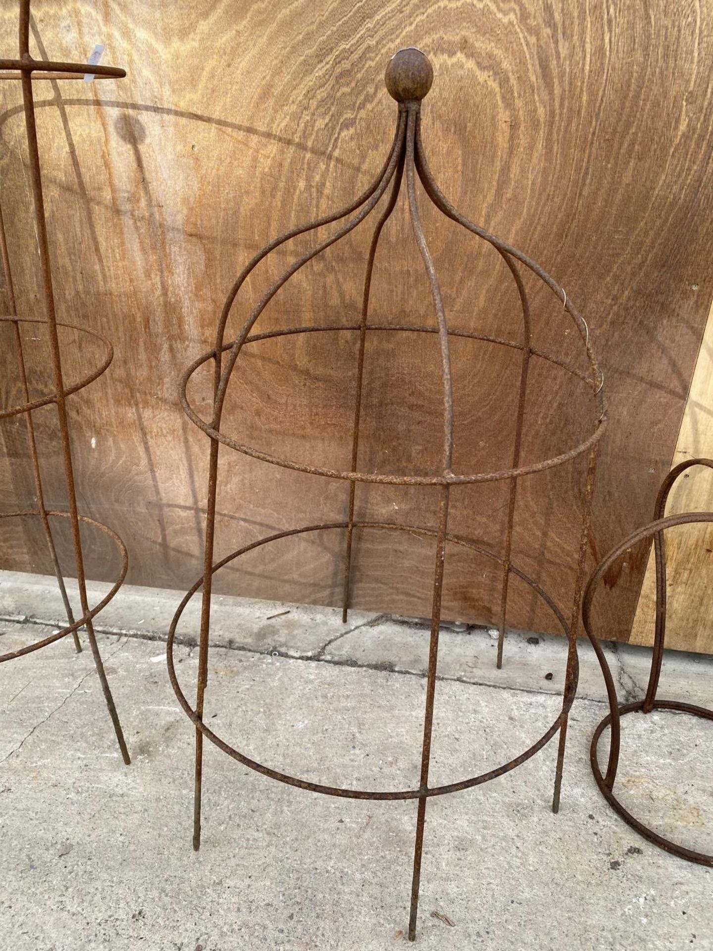 A WROUGHT IRON DOME SHAPED PLANT CLIMBING FRAME (H:99CM)