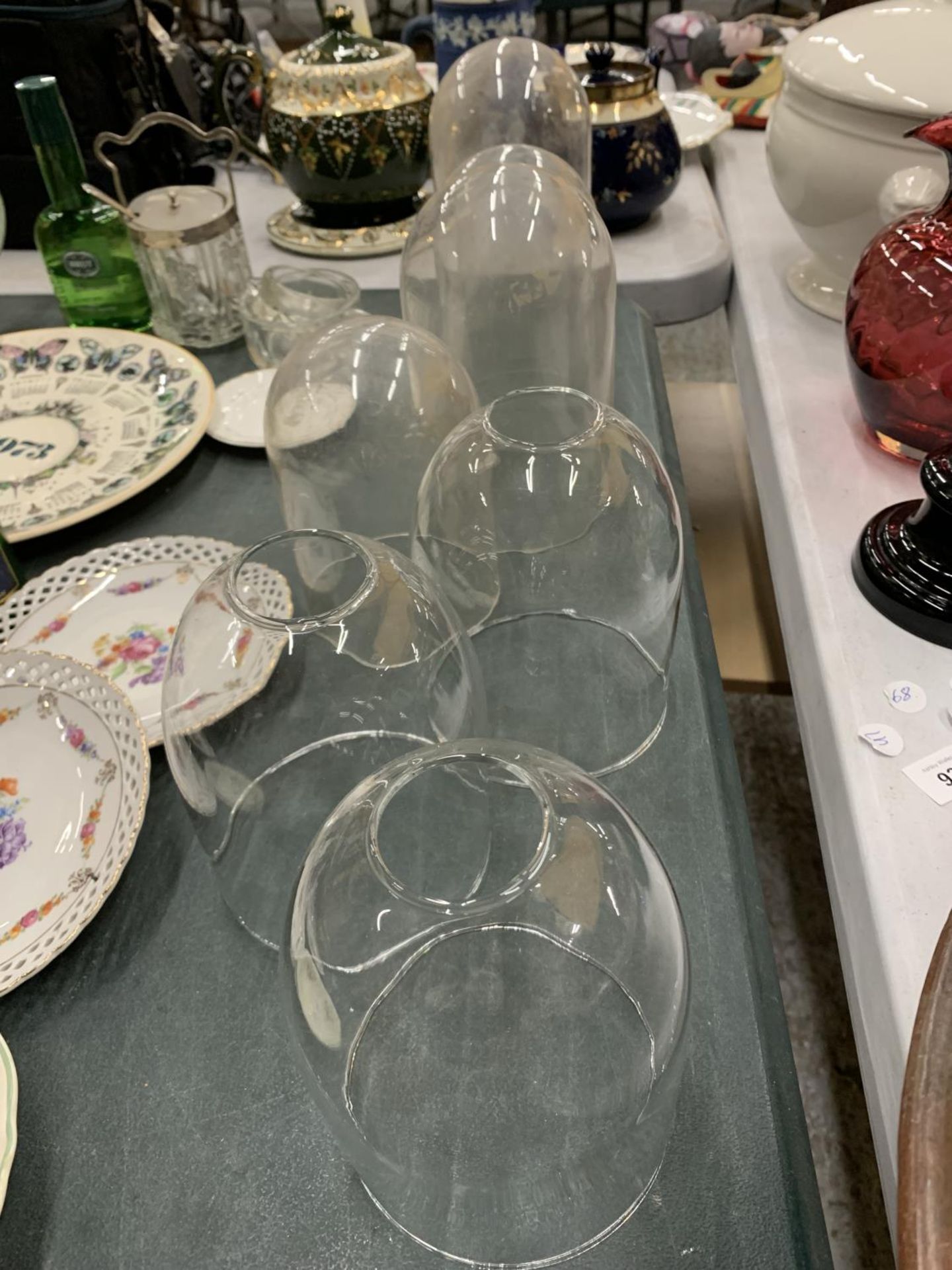 SEVEN GLASS DISPLAY DOMES