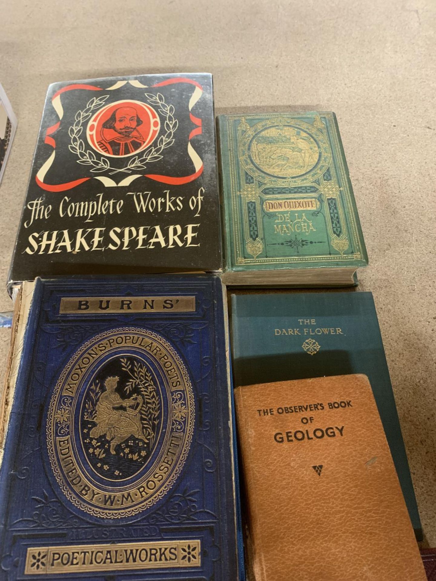 VARIOUS VINTAGE BOOKS TO INCLUDE GEOLOGY, SHAKESPEARE ETC - Image 2 of 3