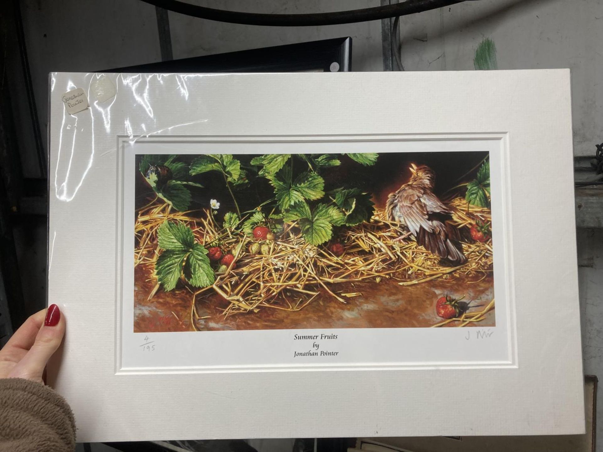 A FRAMED SIGNED LIMITED EDITION PRINT 'SUMMER FRUITS' 4/195 BY JONATHAN POINTER