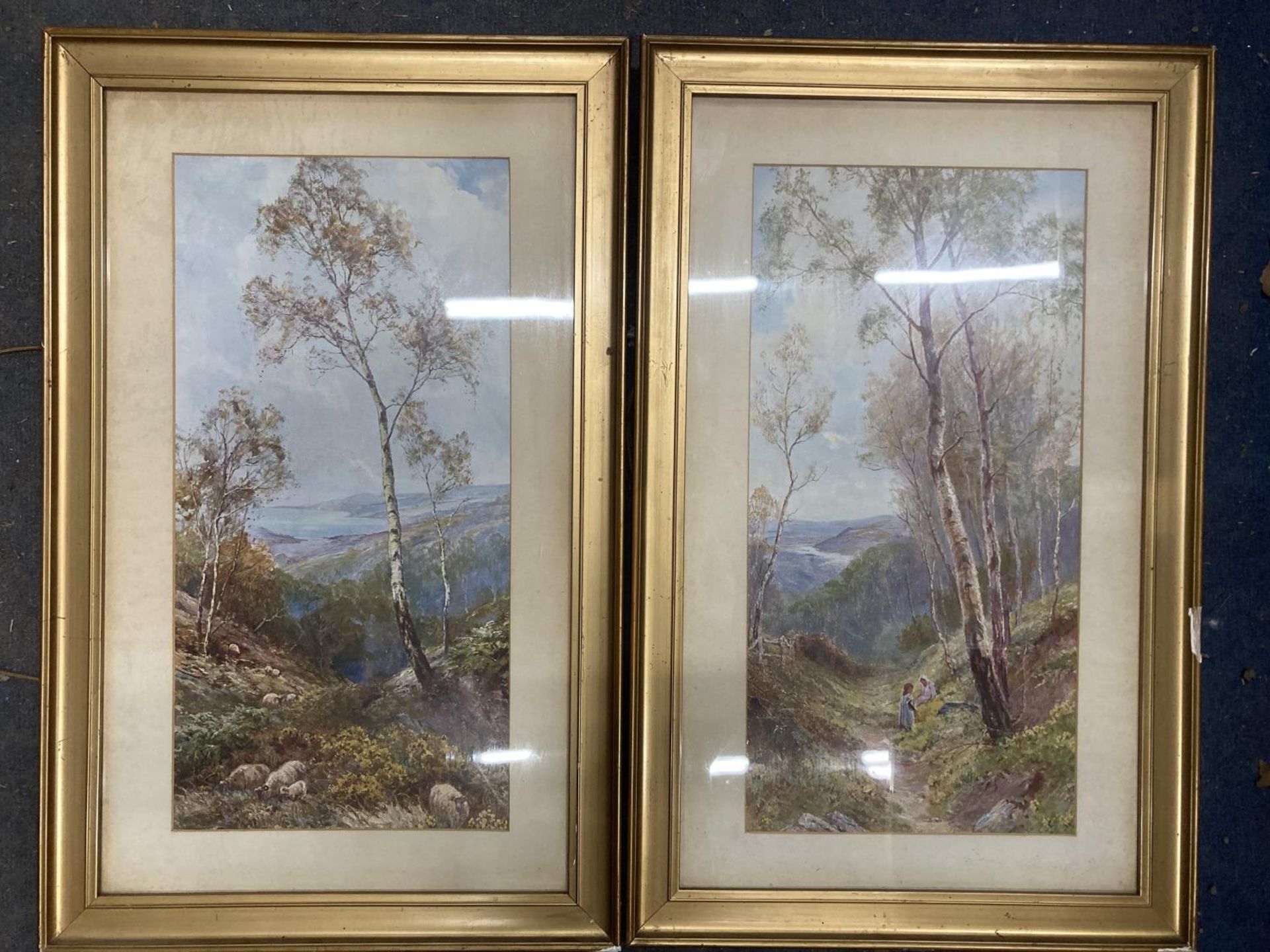 A PAIR OF FRAMED WOODLAND PRINTS