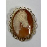 A 9CT YELLOW GOLD CAMEO BROOCH DEPICTING A HORSES HEAD, LENGTH 5CM