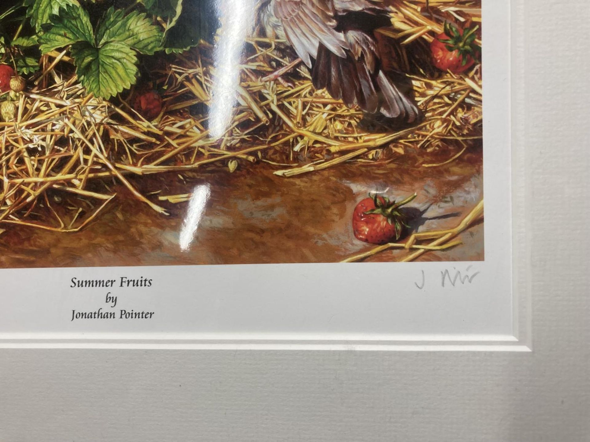 A FRAMED SIGNED LIMITED EDITION PRINT 'SUMMER FRUITS' 4/195 BY JONATHAN POINTER - Image 2 of 2