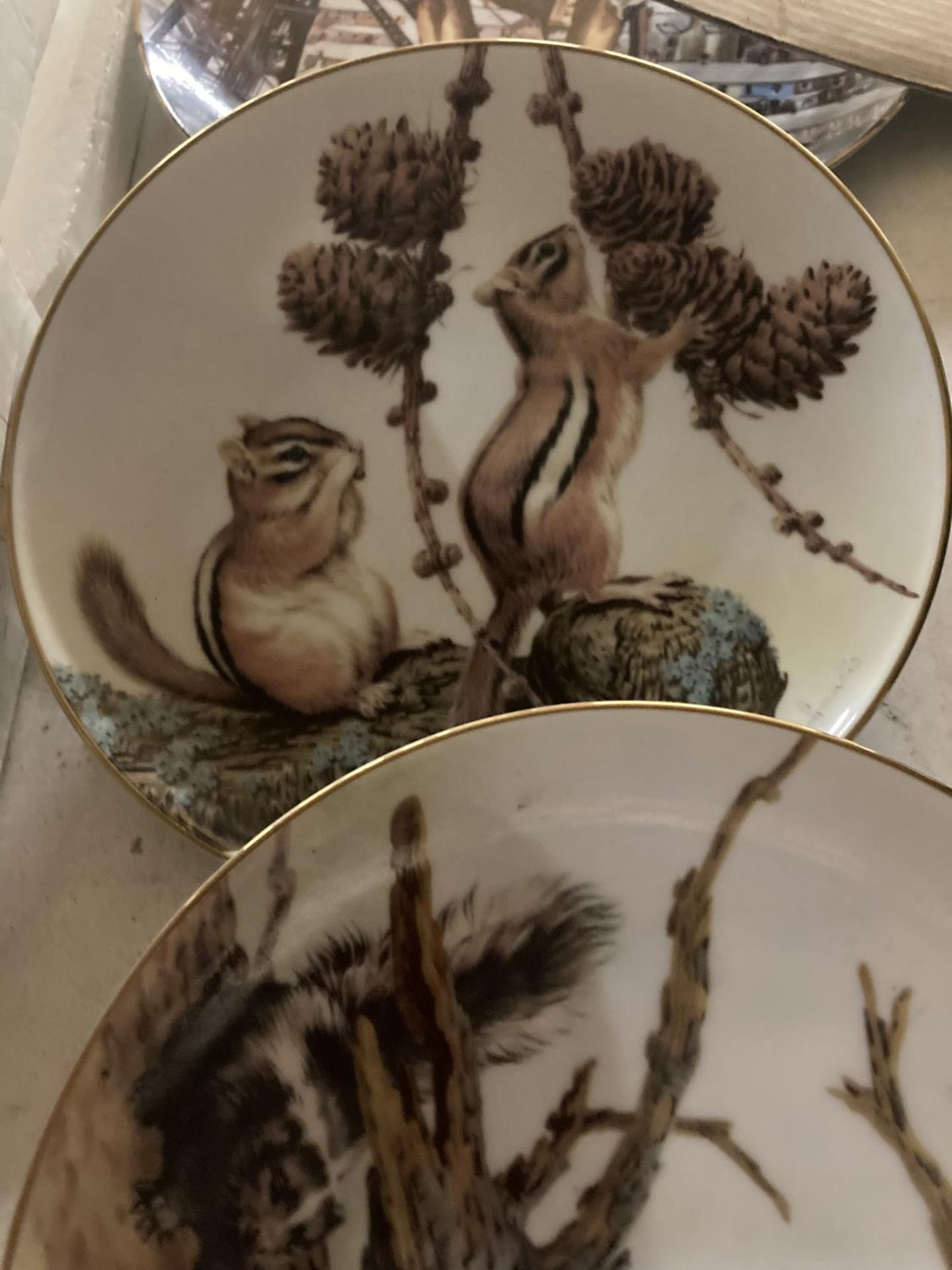 A QUANTITY OF COLLECTOR'S PLATES TO INCLUDE "THE FOREST YEAR," A LIMITED EDITION "OVER THE - Image 5 of 6