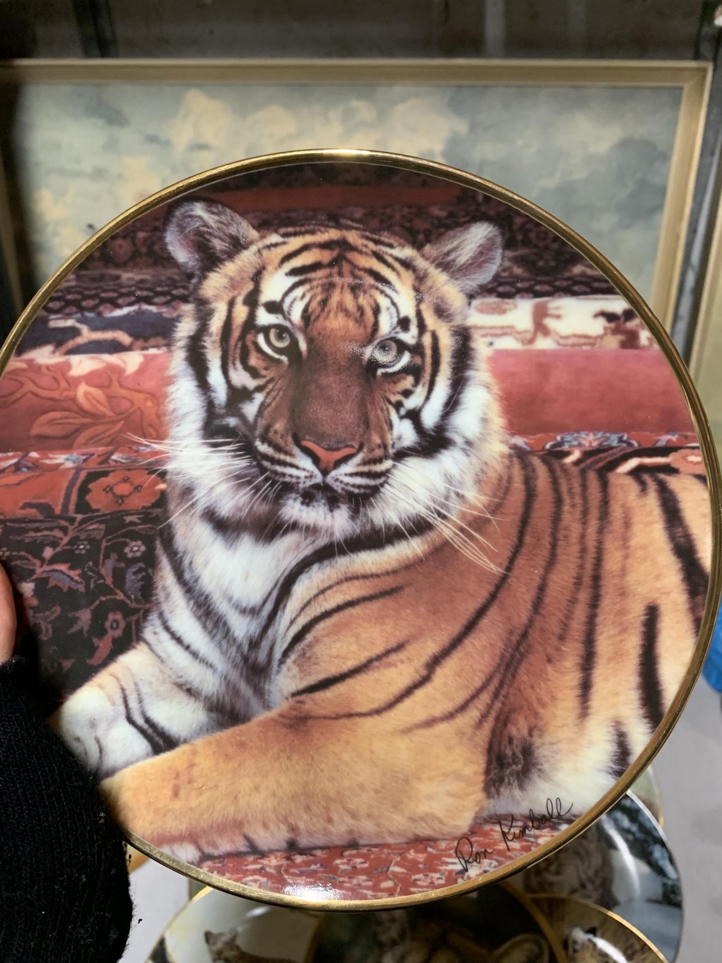 A LARGE COLLECTION OF CABINET/WALL PLATES ALL WITH A BIG CAT THEME - 19 IN TOTAL - Image 2 of 3