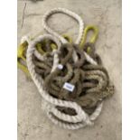 AN ASSORTMENT OF ROPE HALTERS