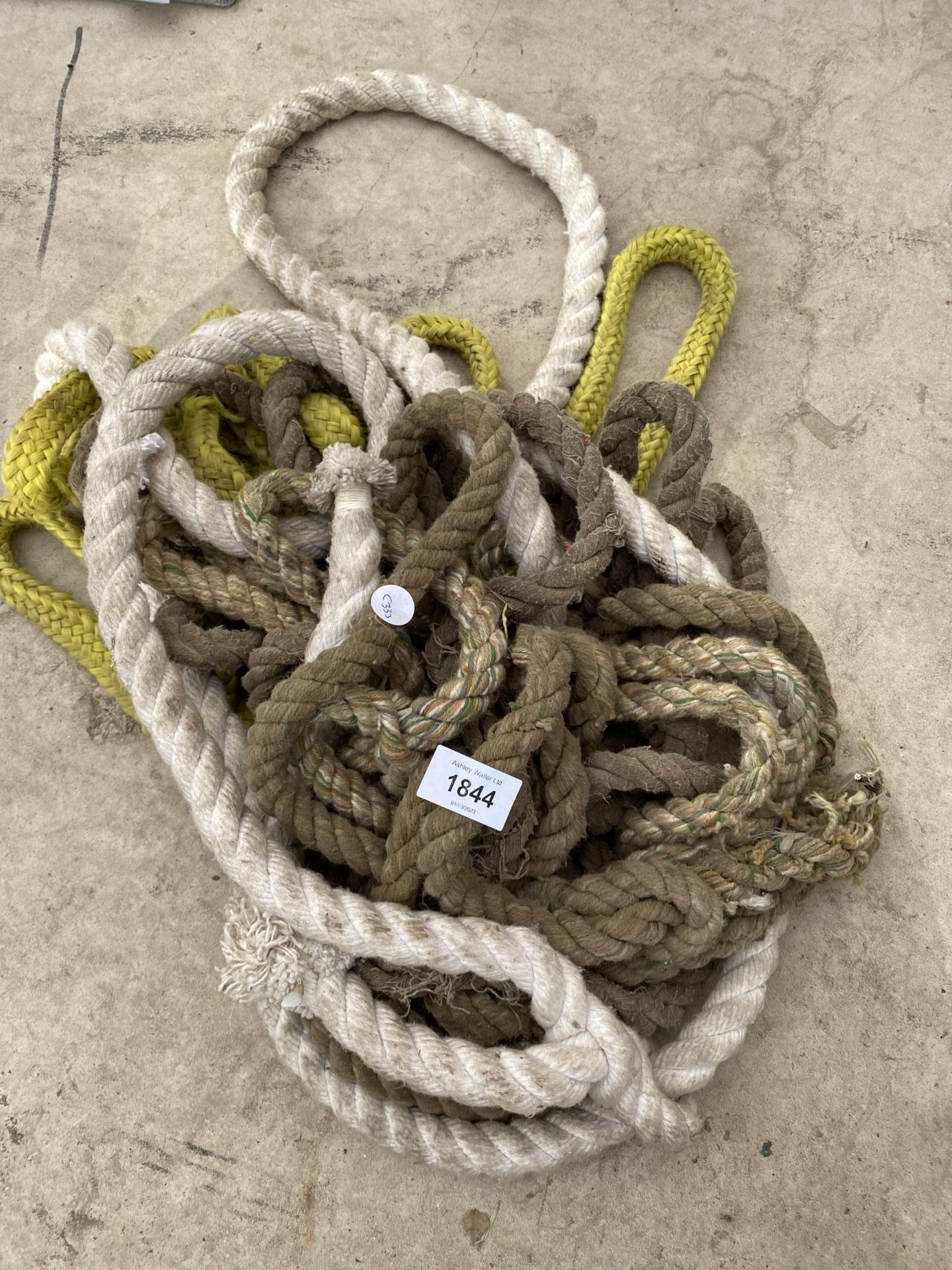 AN ASSORTMENT OF ROPE HALTERS