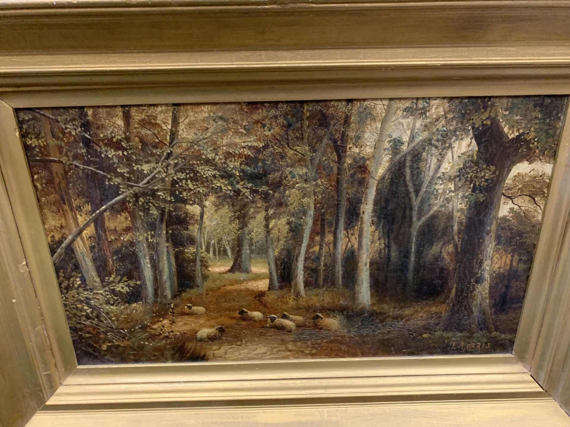 A GILT FRAMED OIL PAINTING OF SHEEP IN A FOREST LANDSCAPE, SIGNED J.MORRIS, 47 X 68CM - Image 3 of 8