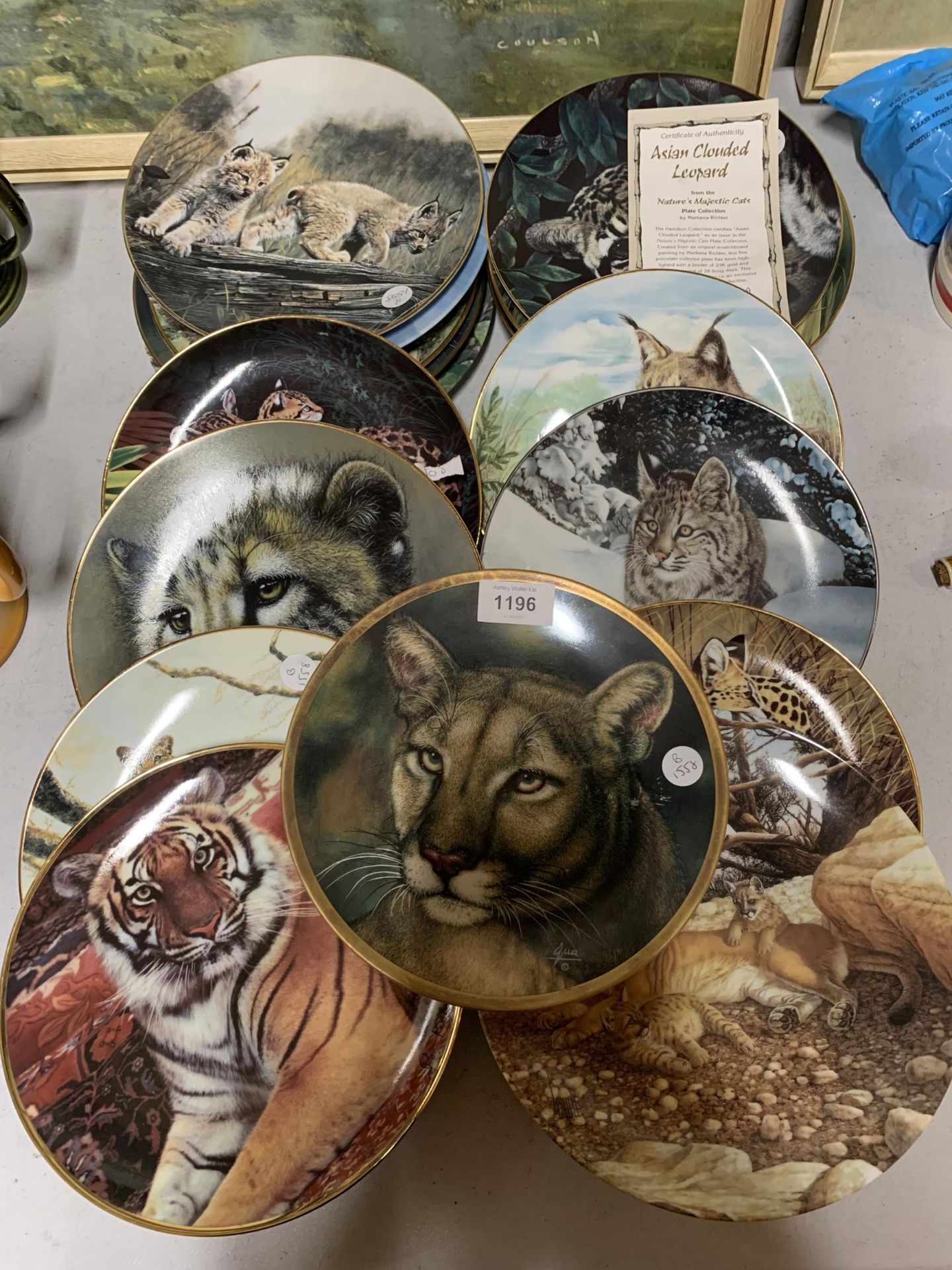 A LARGE COLLECTION OF CABINET/WALL PLATES ALL WITH A BIG CAT THEME - 19 IN TOTAL