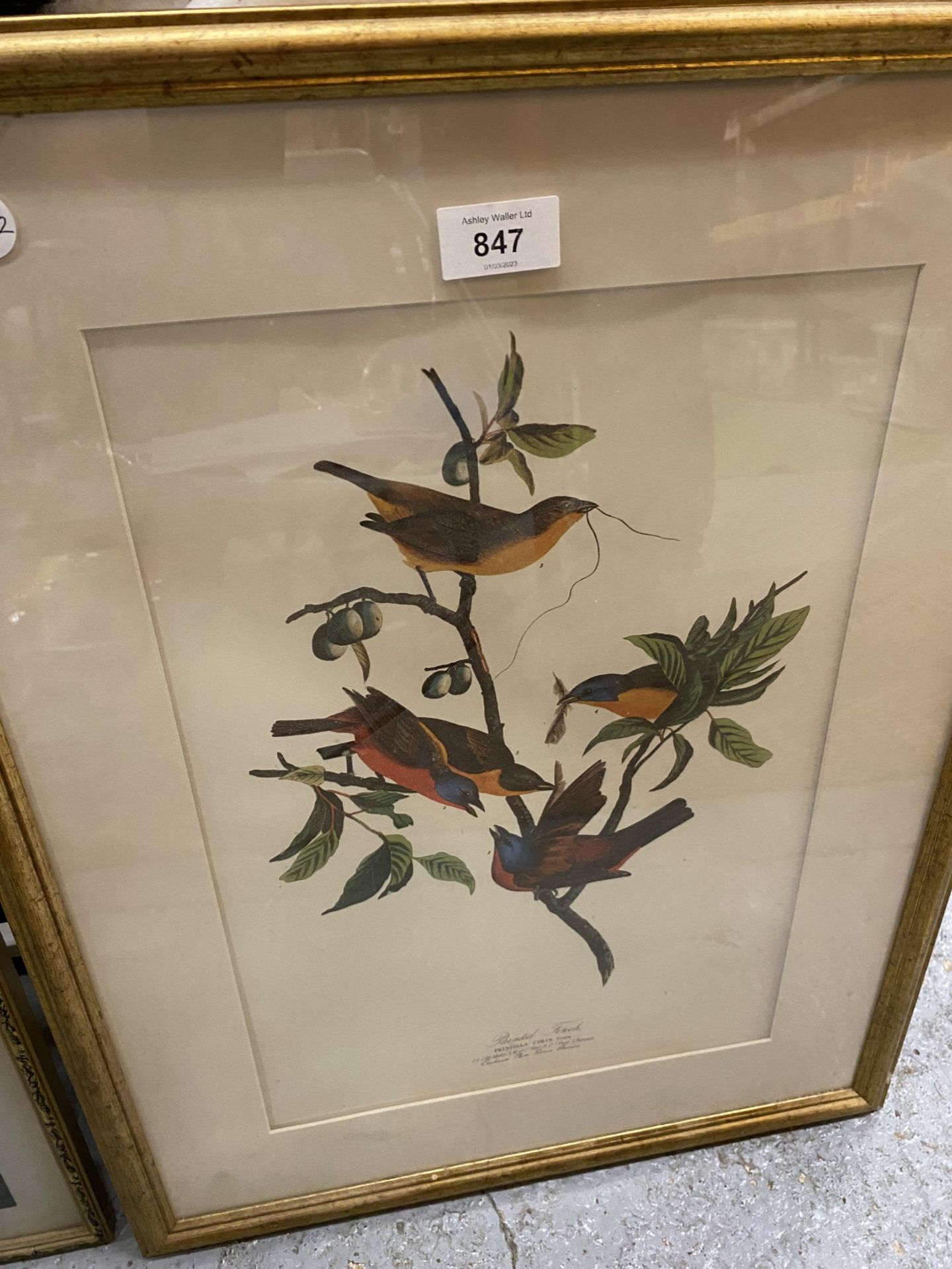 TWO GILT FRAMED PRINTS TO INCLUDE AN ORIENTAL EXAMPLE AND 'PAINTED FINCHES' - Image 3 of 3