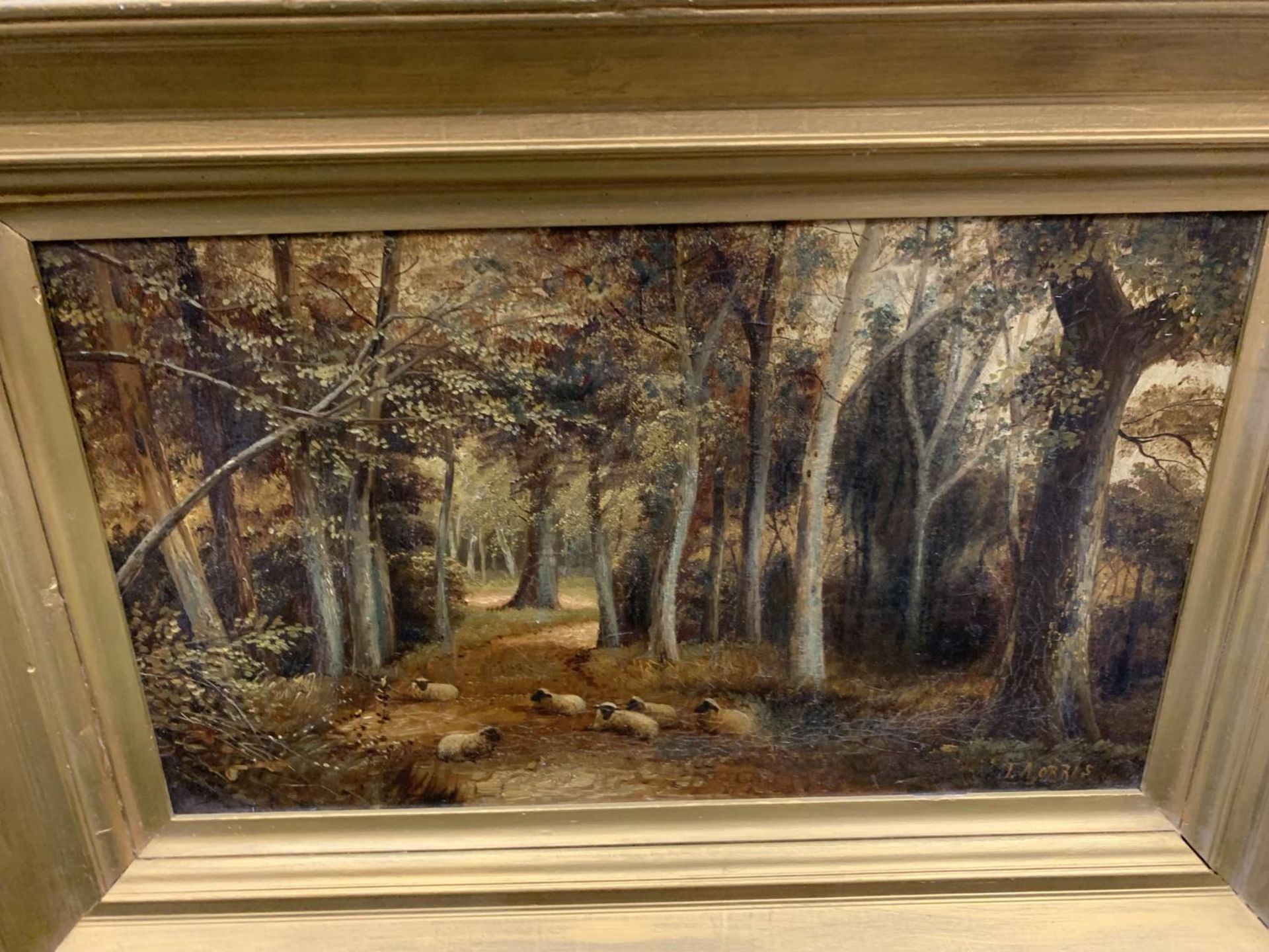A GILT FRAMED OIL PAINTING OF SHEEP IN A FOREST LANDSCAPE, SIGNED J.MORRIS, 47 X 68CM - Image 4 of 8