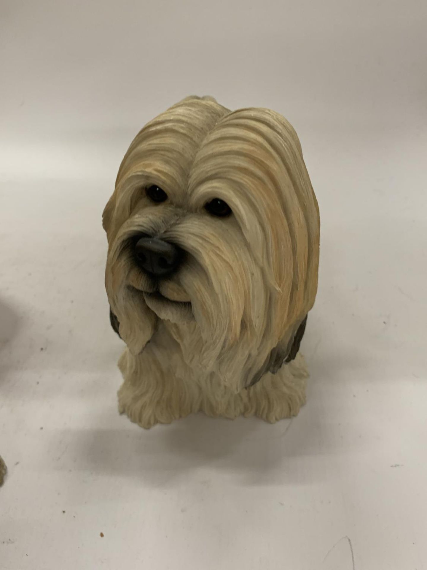 TWO LARGE DOG FIGURES BY LEONARDO, A STAFFORDSHIRE BULL TERRIER HEIGHT 34CM AND A LHASA APSO - Image 6 of 8