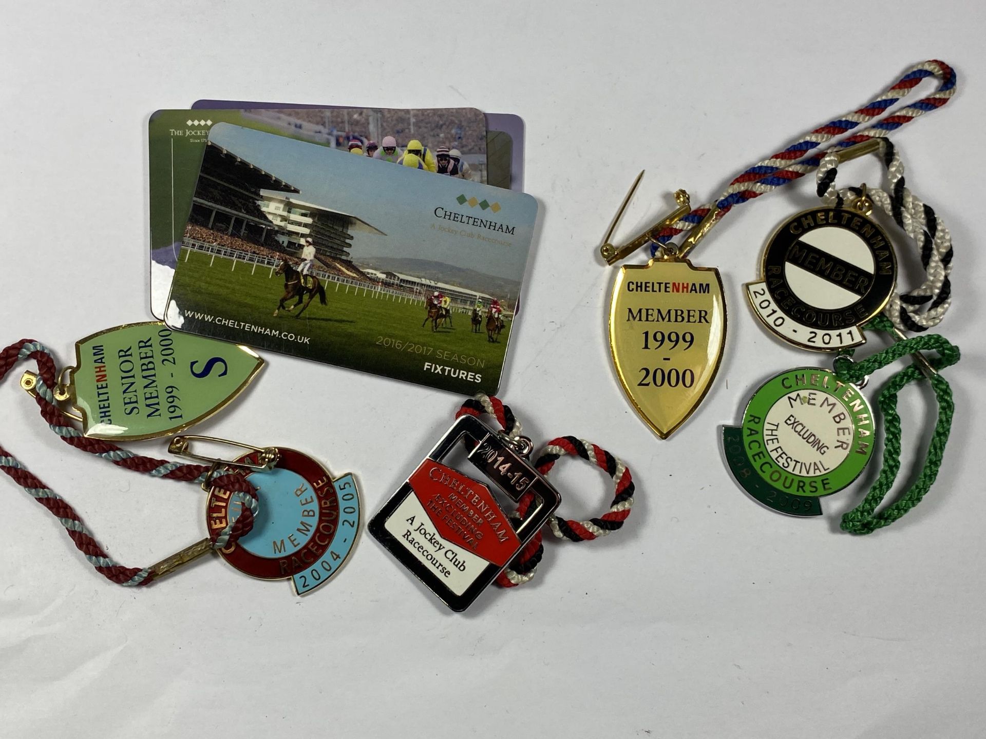 SIX CHELTENHAM RACECOURSE BADGES