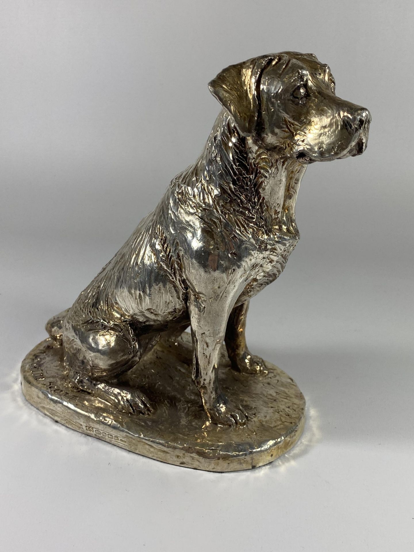 A LARGE HALLMARKED SILVER FILLED CAMELOT SILVERWARE LTD MODEL OF A SEATED LABRADOR, HEIGHT 21CM
