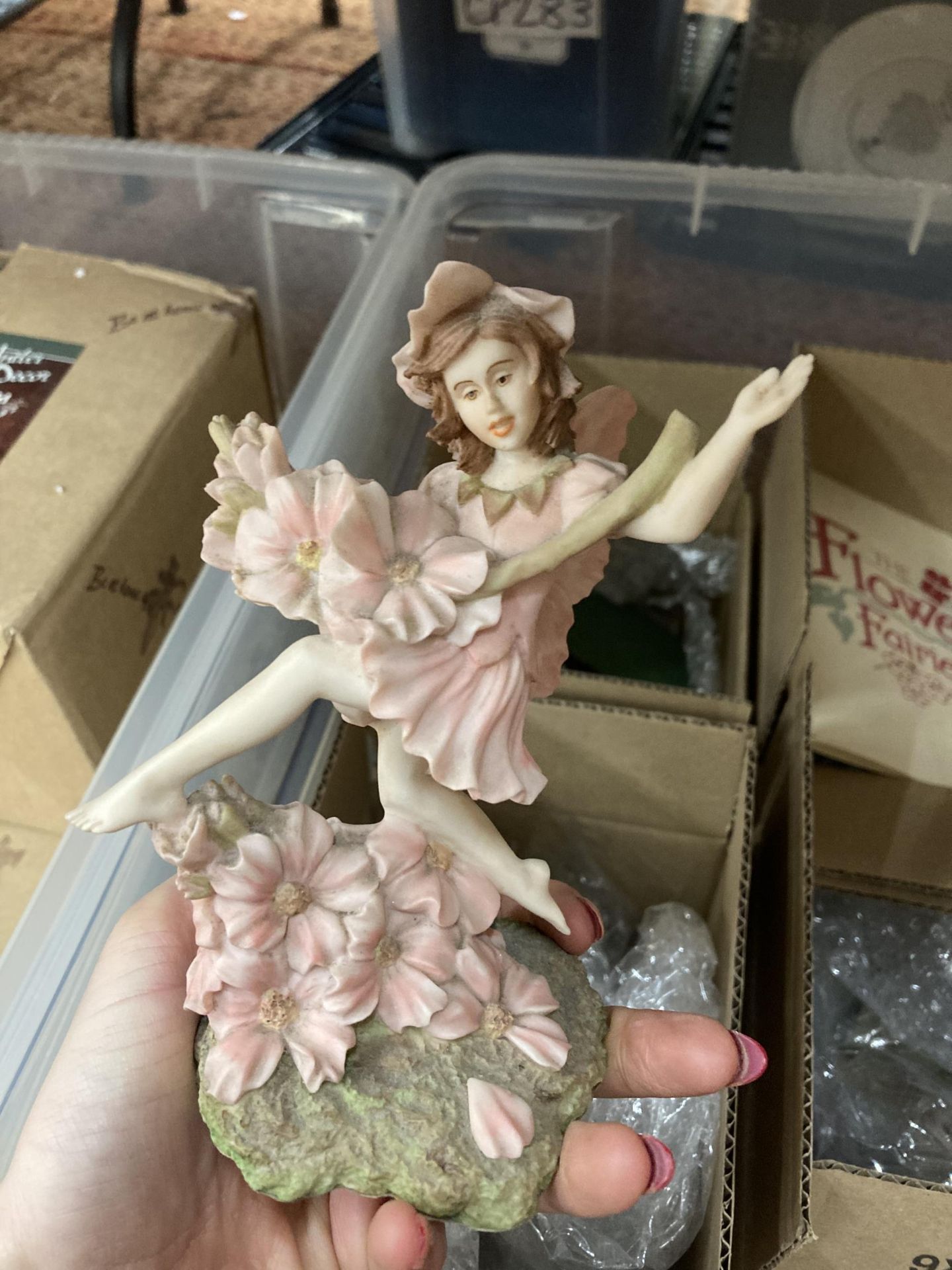 TWO BOXES OF BOXED ITEMS - FLOWER FAIRIES AND WILD WINGS COLLECTABLE PLATE HOLDERS - Image 2 of 3