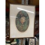 A FRAMED PATRICIA E TAYLOR PRINT OF A DORMOUSE