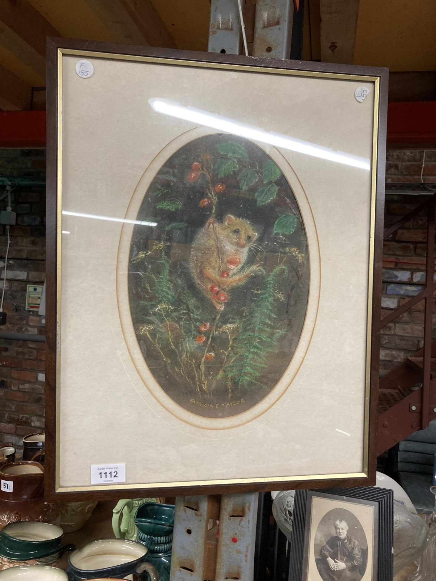 A FRAMED PATRICIA E TAYLOR PRINT OF A DORMOUSE