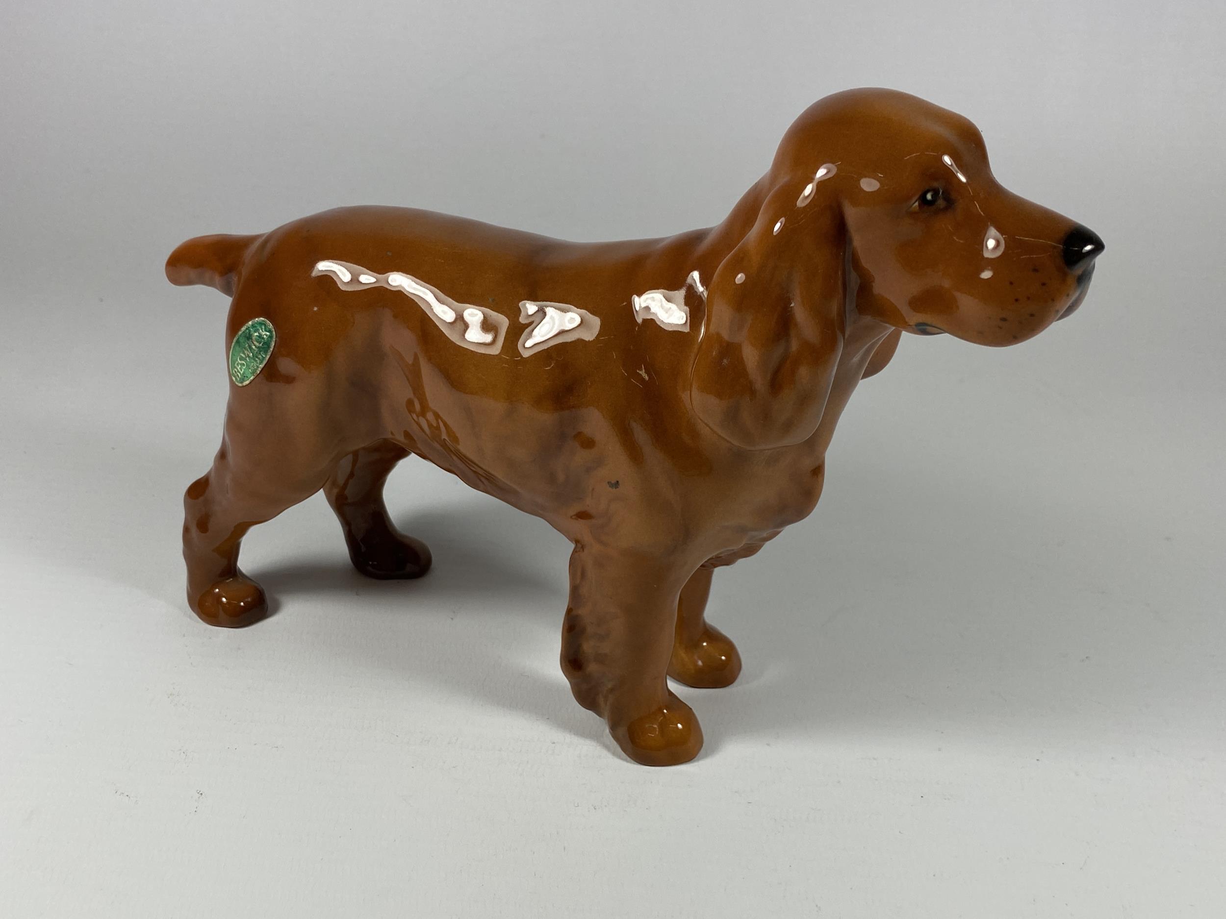 A BESWICK BROWN GLOSS HORSEHOE PRIMULA COCKER SPANIEL DOG FIGURE