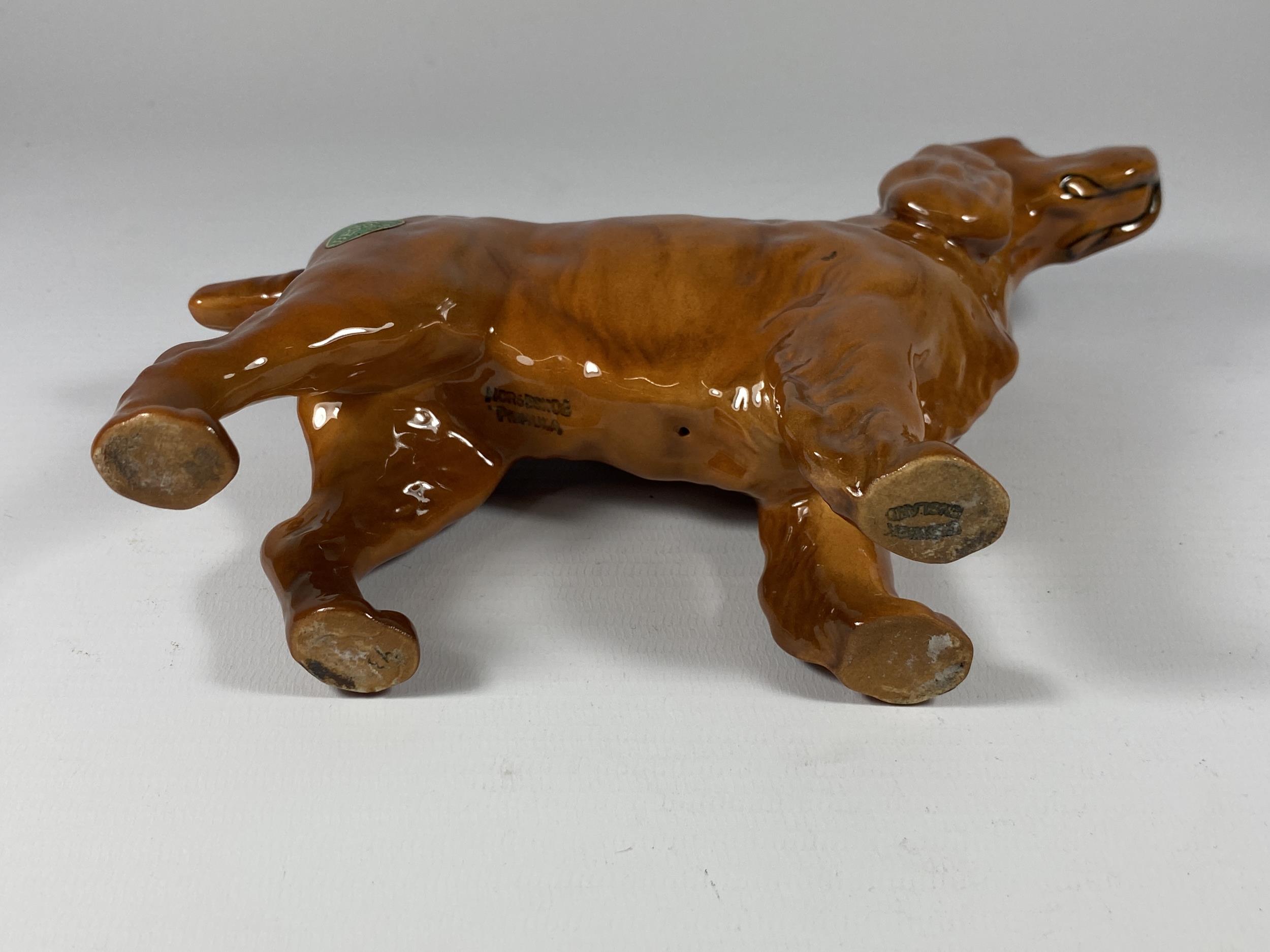 A BESWICK BROWN GLOSS HORSEHOE PRIMULA COCKER SPANIEL DOG FIGURE - Image 2 of 2