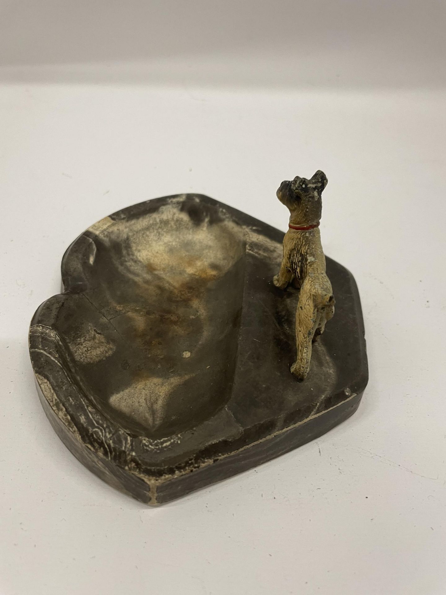 AN AUSTRIAN COLD PAINTED BRONZE MODEL OF A TERRIER IN THE FORM OF AN ASHTRAY - Image 2 of 4