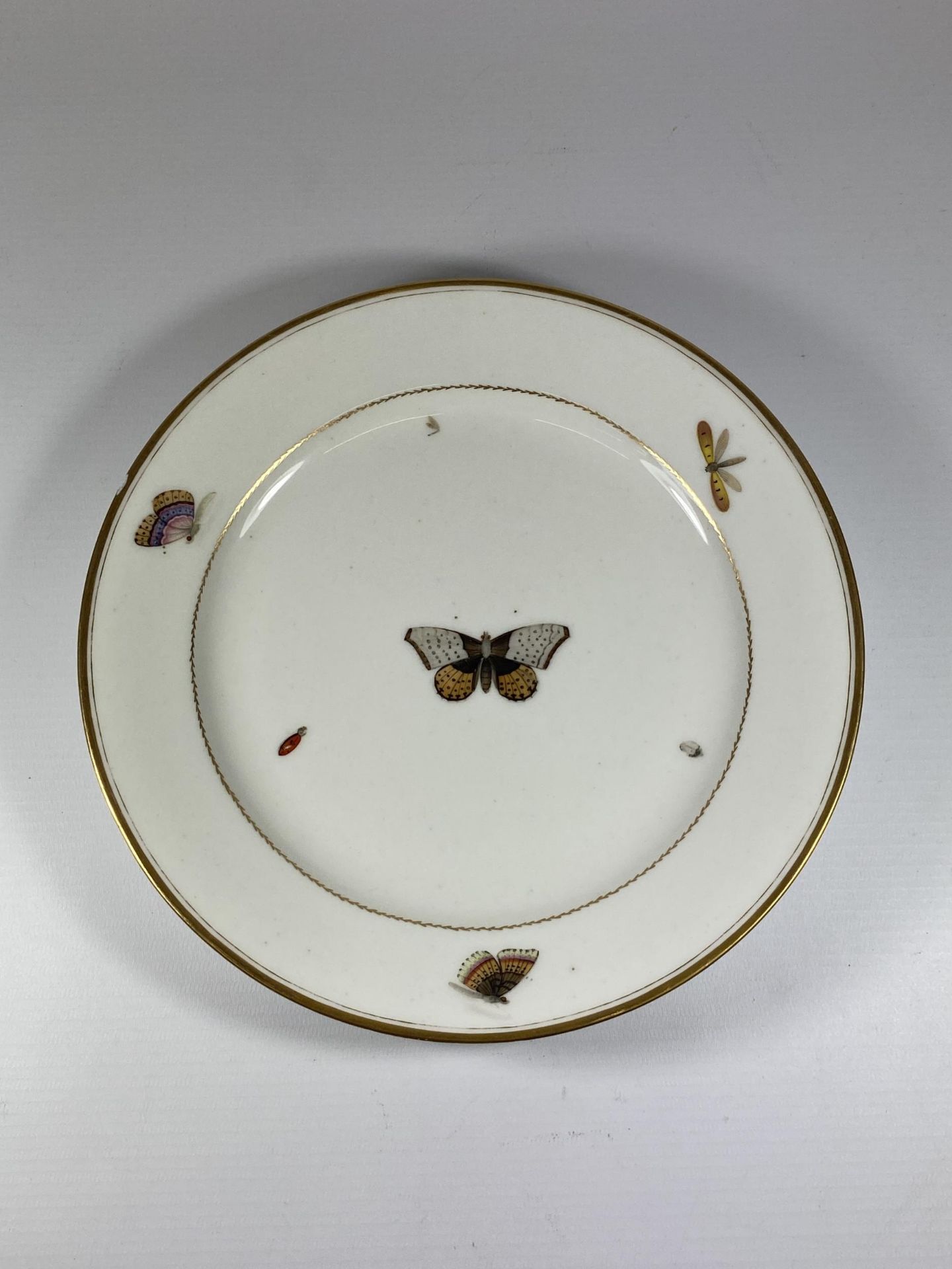 A BELIEVED CHRISTOPHER PARIS PORCELAIN C.1795 HAND PAINTED BUTTERFLY PLATE, DIAMETER 24CM