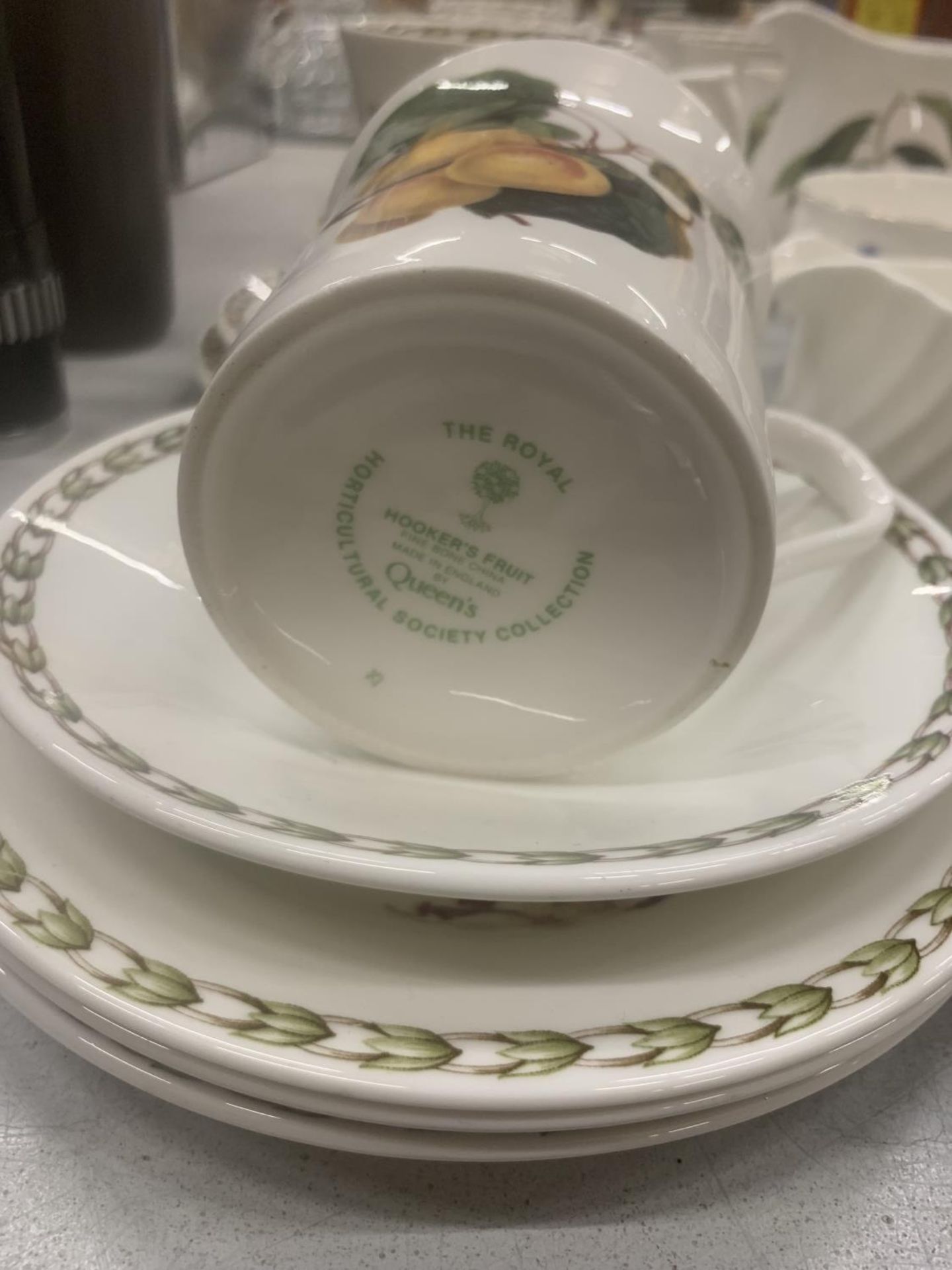 A QUANTITY OF THE ROYAL HORTICULTURAL SOCIETY BY QUEEN'S 'HOOKERS FRUIT' PATTERNED CUPS, SAUCERS, - Image 3 of 8