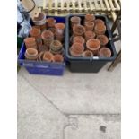 A LARGE QUANTITY OF TERRACOTTA PLANT POTS