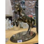 A LARGE BRASS MODEL OF A REARING HORSE, HEIGHT 37CM