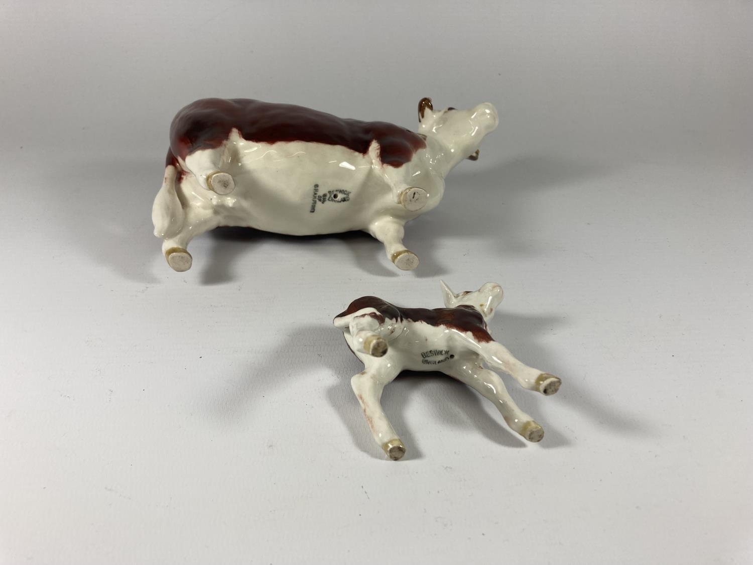 A BESWICK HEREFORD COW AND CALF (CALF EAR A/F) - Image 3 of 3