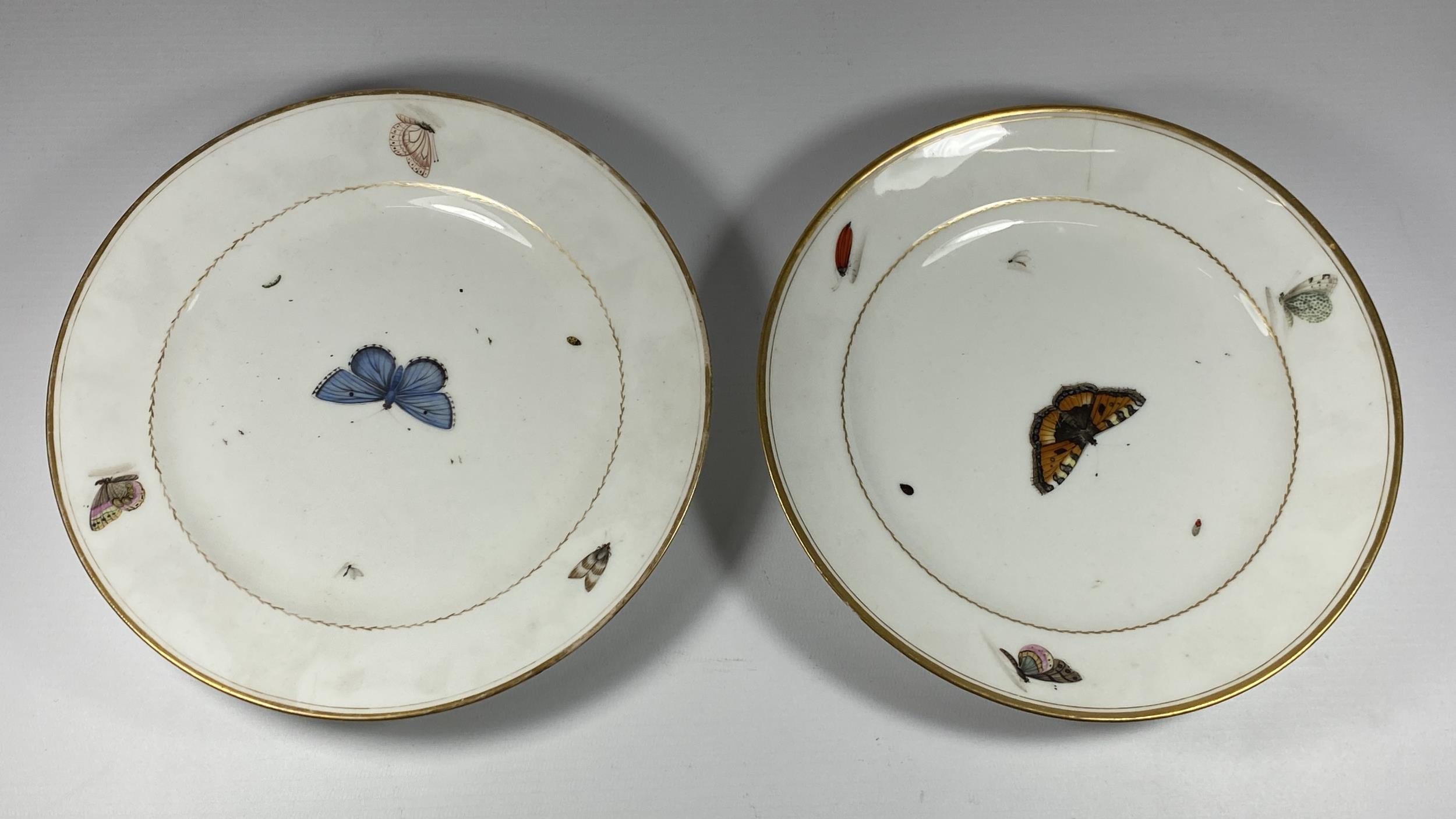 A PAIR OF BELIEVED CHRISTOPHER POTTER PARIS PORCELAIN C.1795 HAND PAINTED BUTTERFLY PATTERN