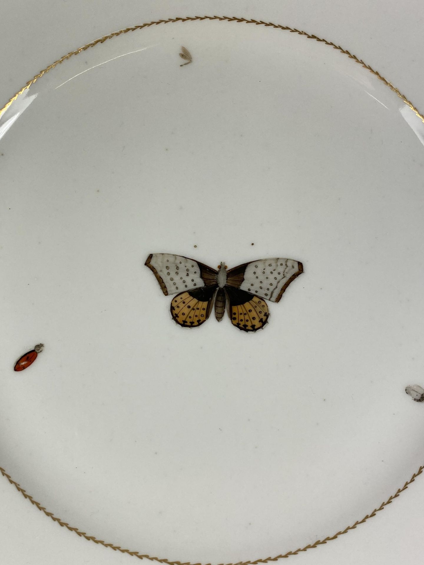 A BELIEVED CHRISTOPHER PARIS PORCELAIN C.1795 HAND PAINTED BUTTERFLY PLATE, DIAMETER 24CM - Image 2 of 3
