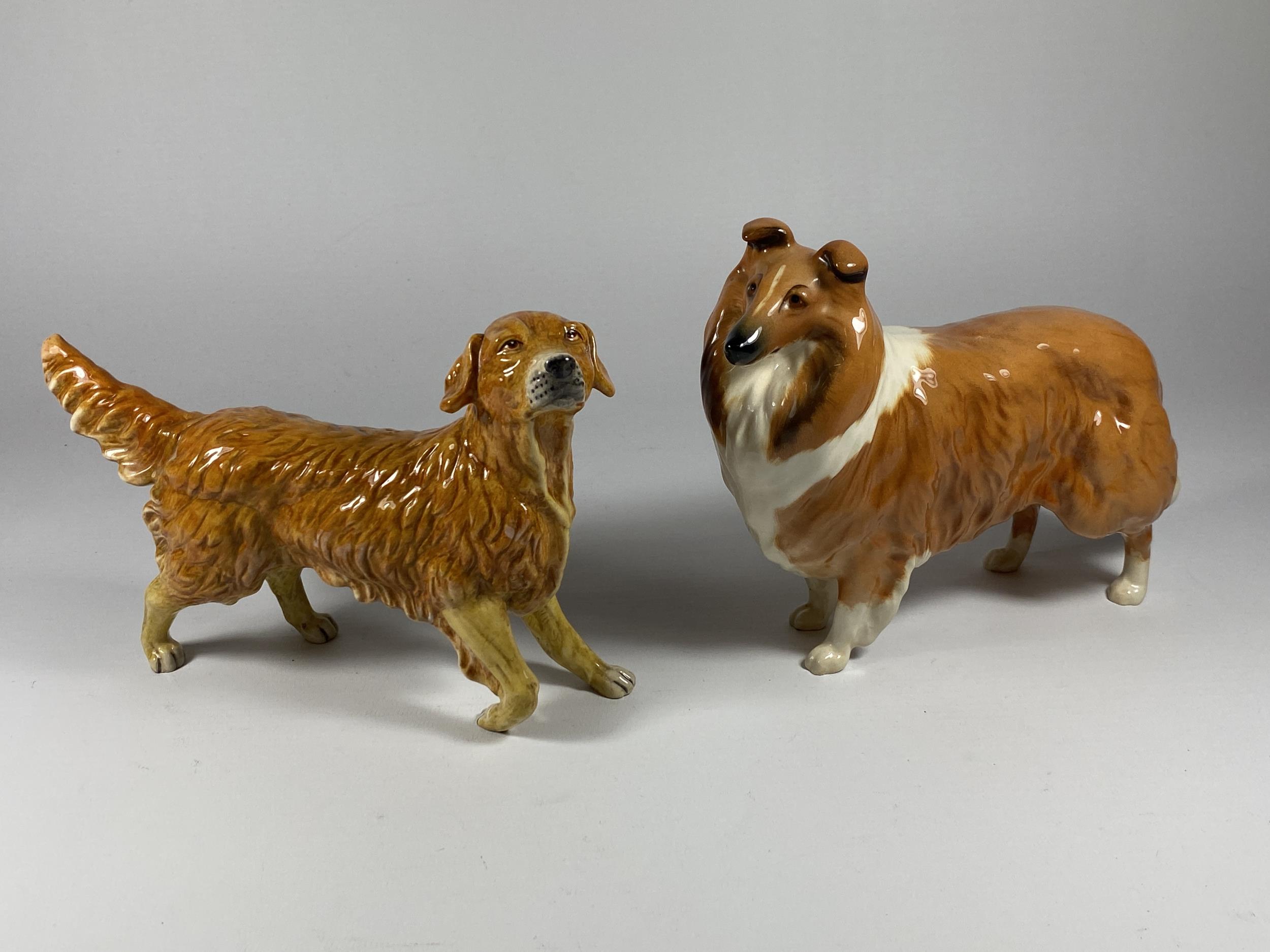 TWO ROYAL DOULTON DOG FIGURES - LOCHINVAR OF LADYPARK AND GOLDEN RETRIEVER