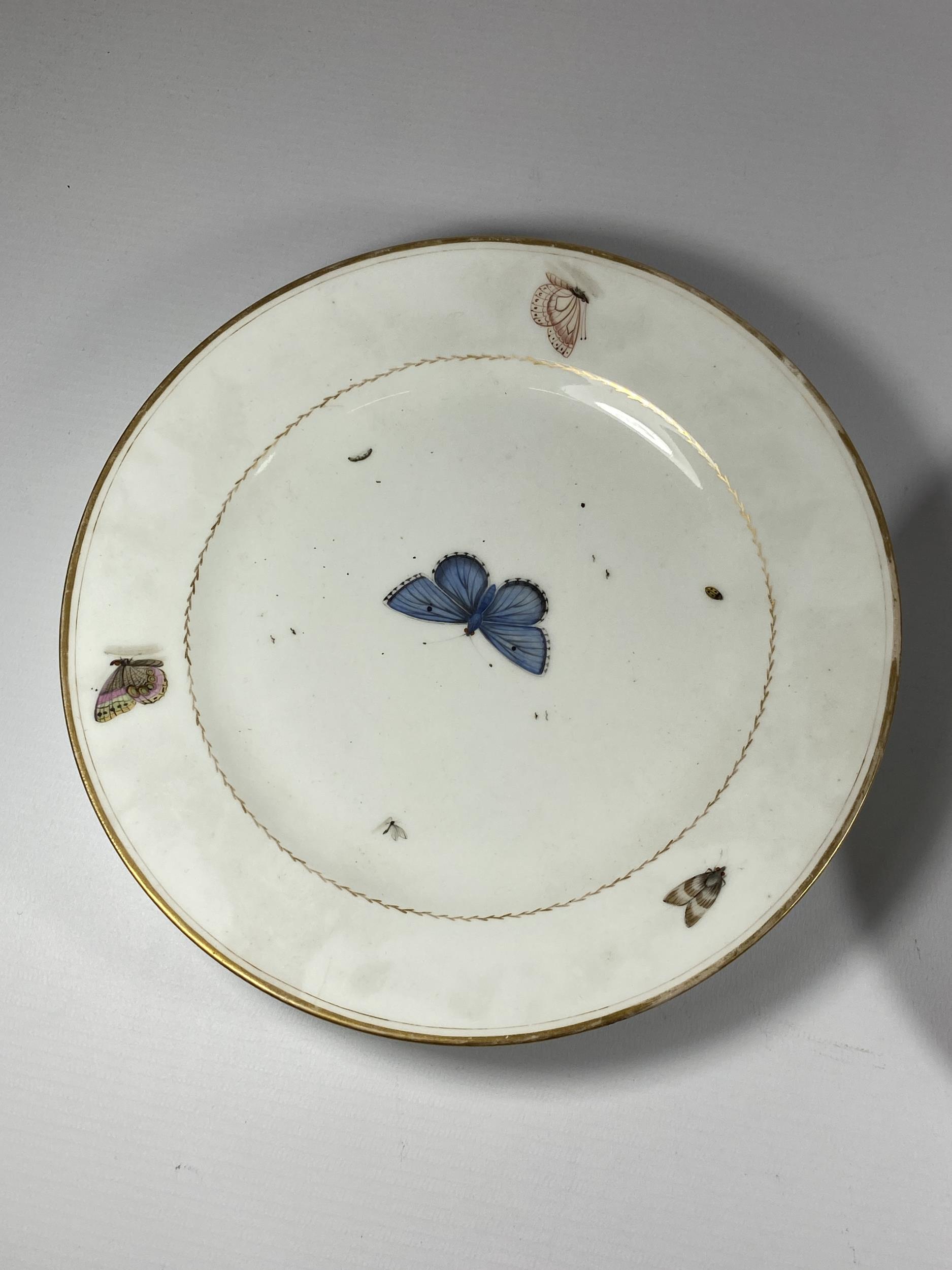 A PAIR OF BELIEVED CHRISTOPHER POTTER PARIS PORCELAIN C.1795 HAND PAINTED BUTTERFLY PATTERN - Image 2 of 4