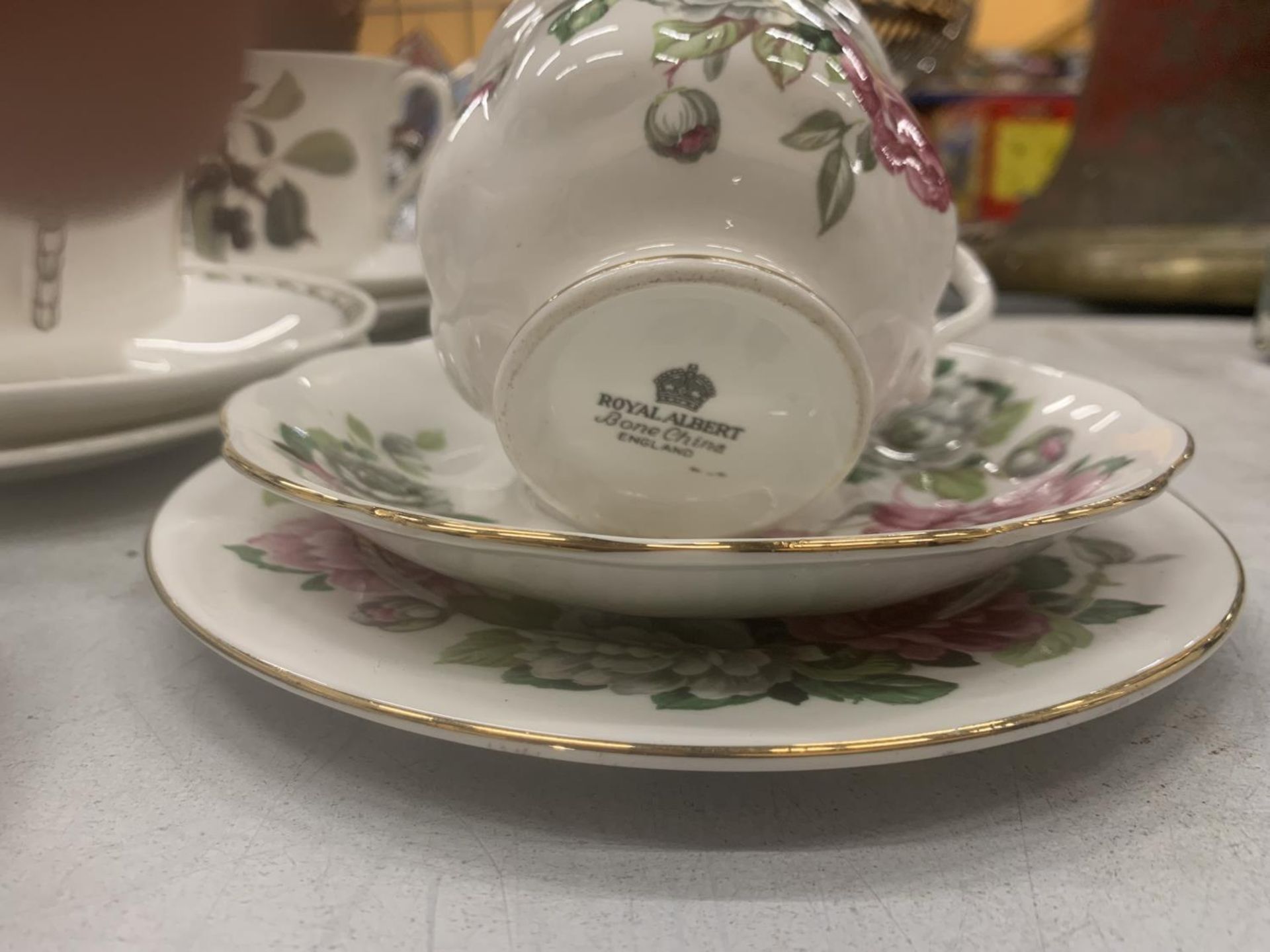 A QUANTITY OF THE ROYAL HORTICULTURAL SOCIETY BY QUEEN'S 'HOOKERS FRUIT' PATTERNED CUPS, SAUCERS, - Image 6 of 8