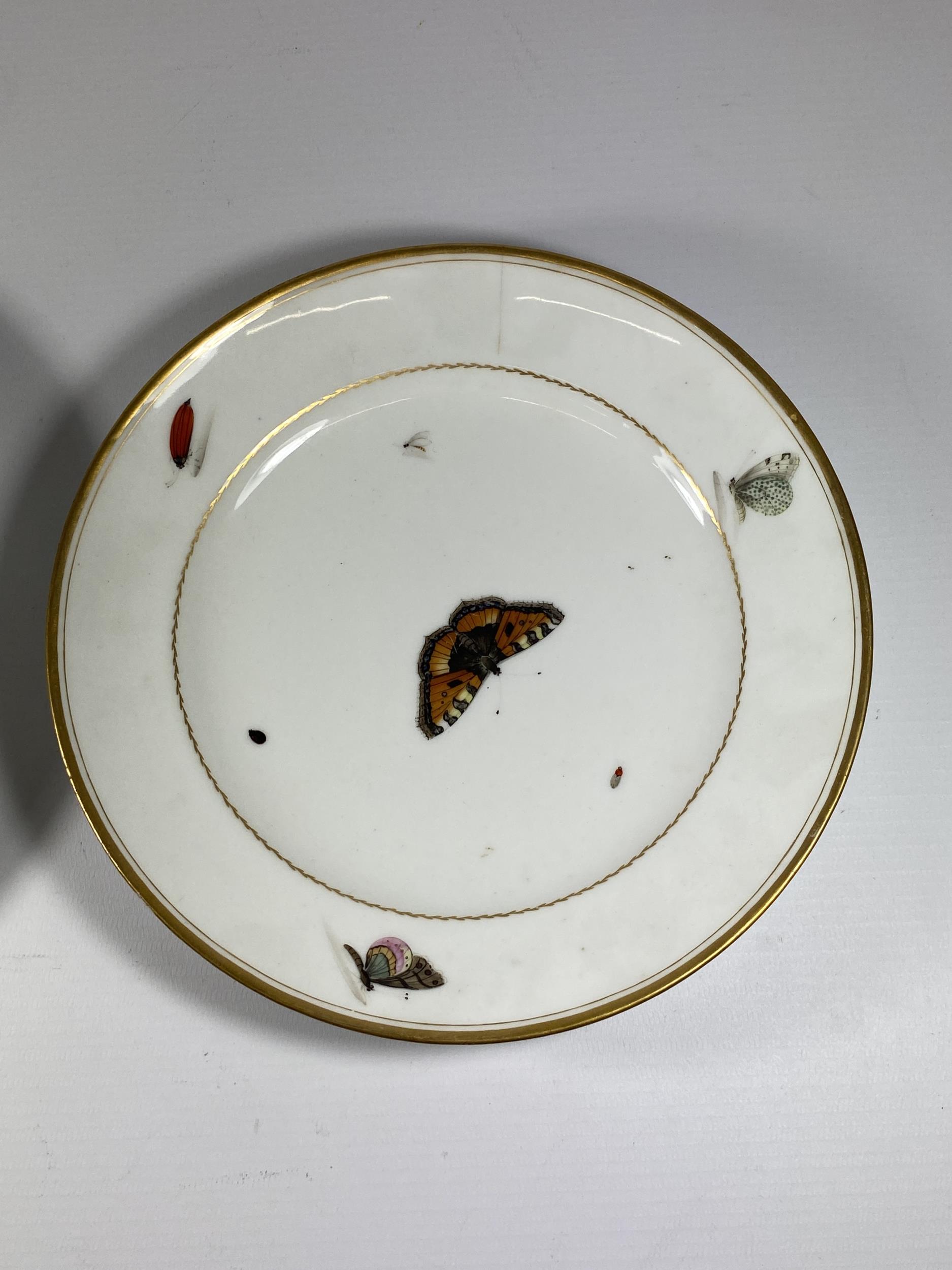 A PAIR OF BELIEVED CHRISTOPHER POTTER PARIS PORCELAIN C.1795 HAND PAINTED BUTTERFLY PATTERN - Image 3 of 4