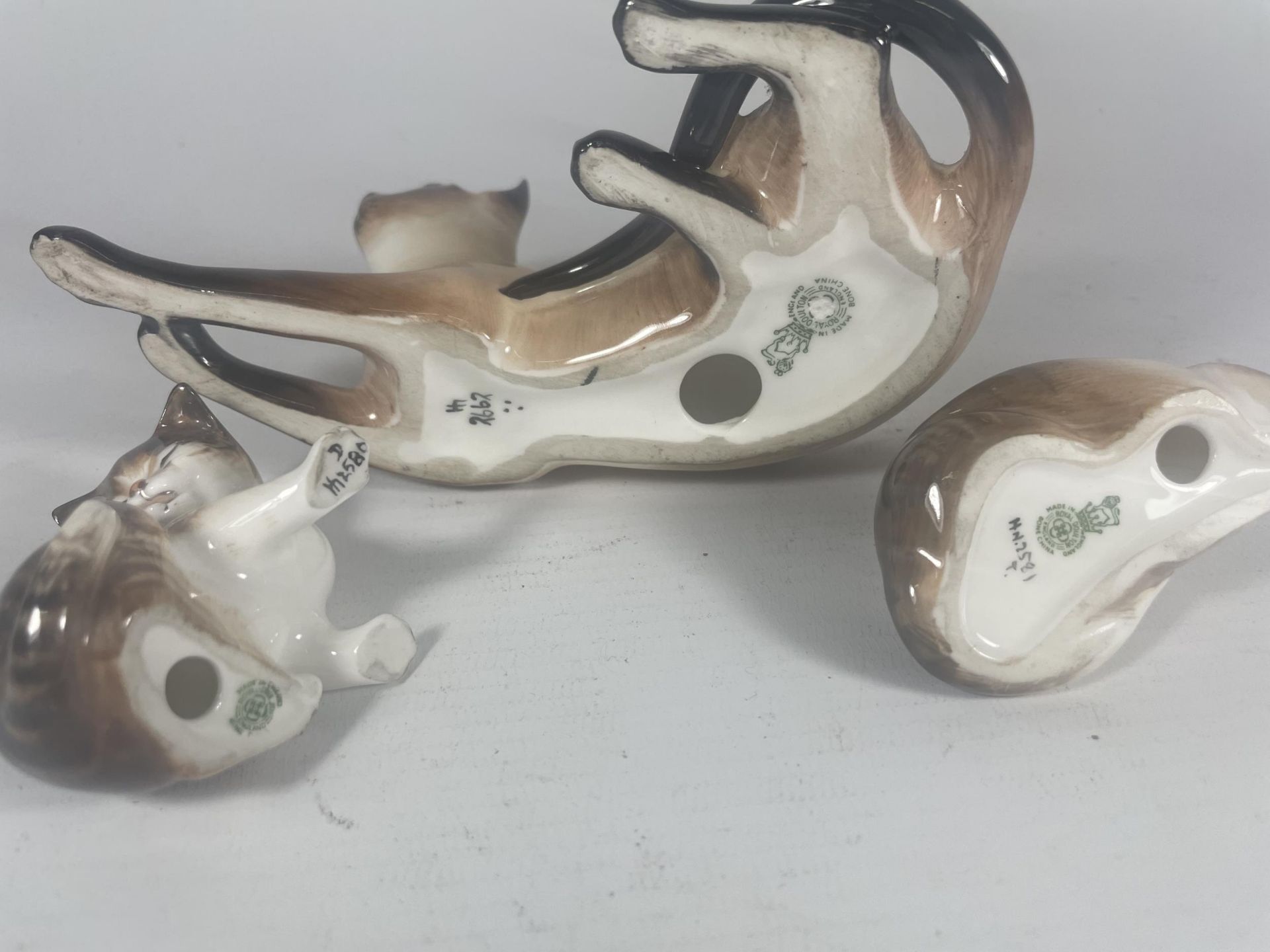 THREE ROYAL DOULTON CATS TO INCLUDE SIAMESE HN2662 (SECONDS) - Image 6 of 6