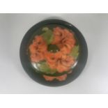 A MOORCROFT POTTERY HIBISCUS PATTERN LIDDED JAR WITH A MATCHING 1986 DATED HIBISCUS YEAR PLATE,