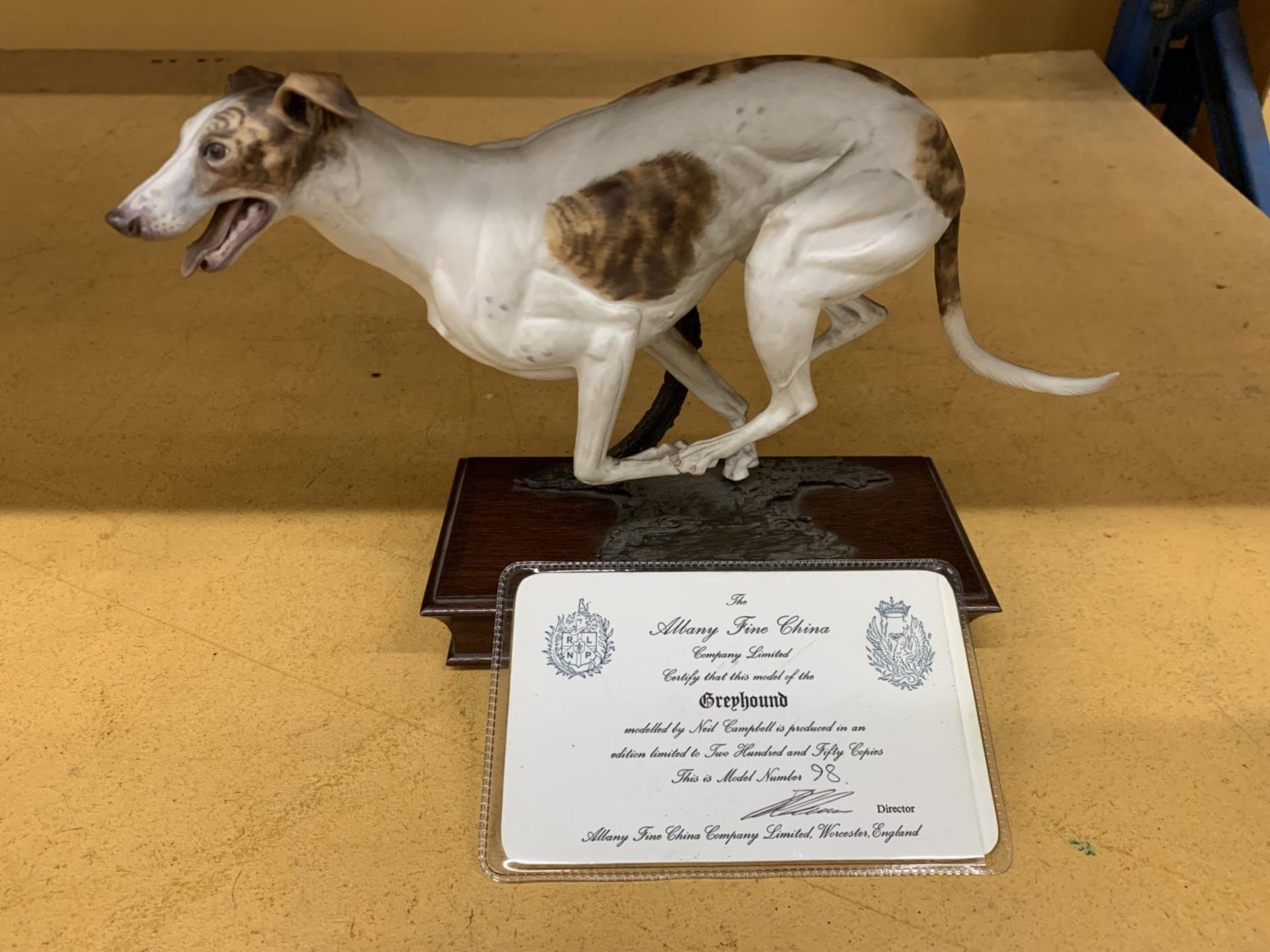 AN ALBANY FINE CHINA MODEL OF A GREYHOUND BY NEIL CAMPBELL, LILMITED EDITION 98/250 WITH CERTIFICATE