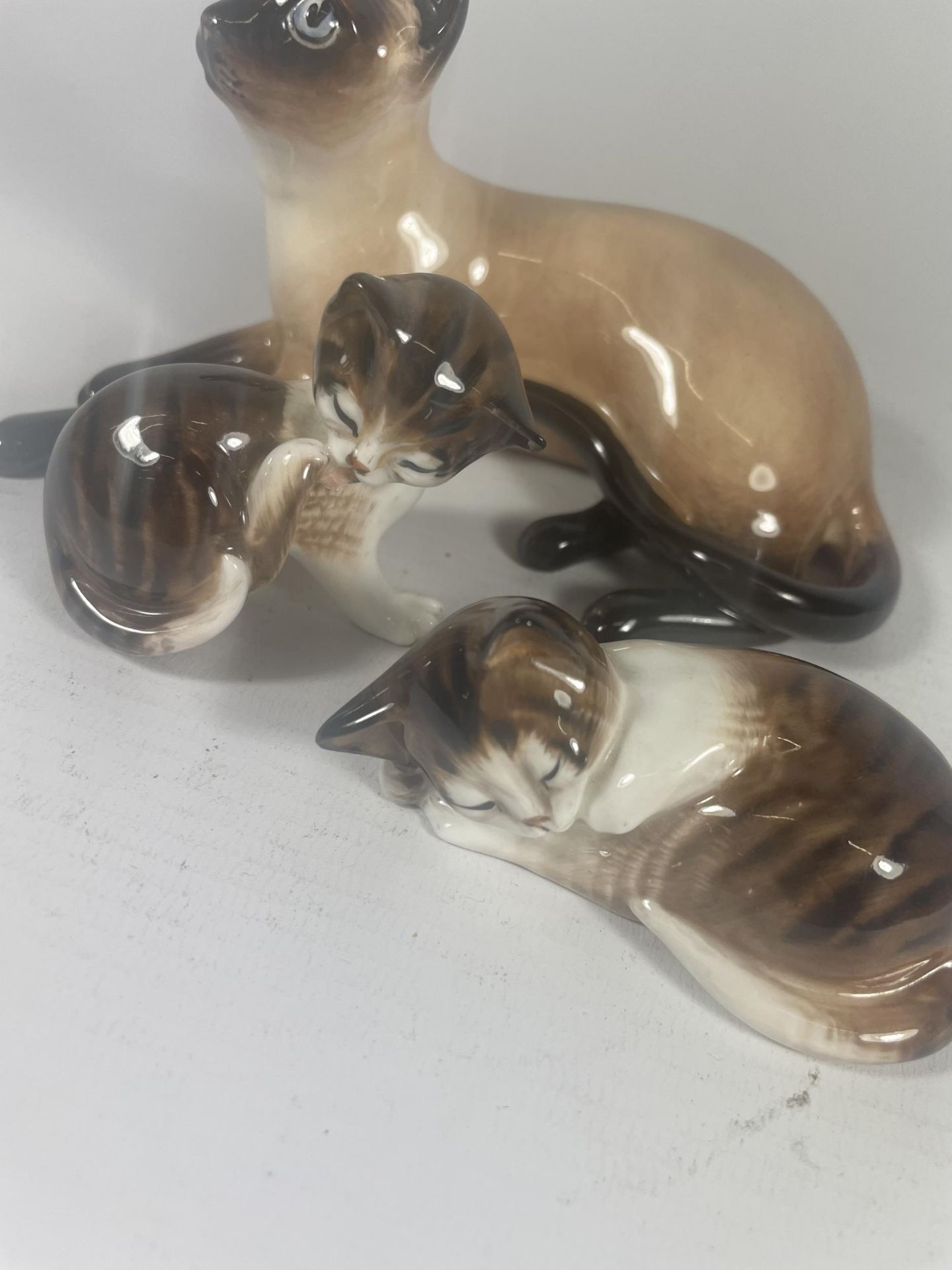 THREE ROYAL DOULTON CATS TO INCLUDE SIAMESE HN2662 (SECONDS) - Image 4 of 6