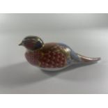 A ROYAL CROWN DERBY PHEASANT PAPERWEIGHT WITH SILVER STOPPER