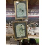 TWO FRAMED PRINTS OF BIRDS - A NUTHATCH AND A PIED WAGTAIL