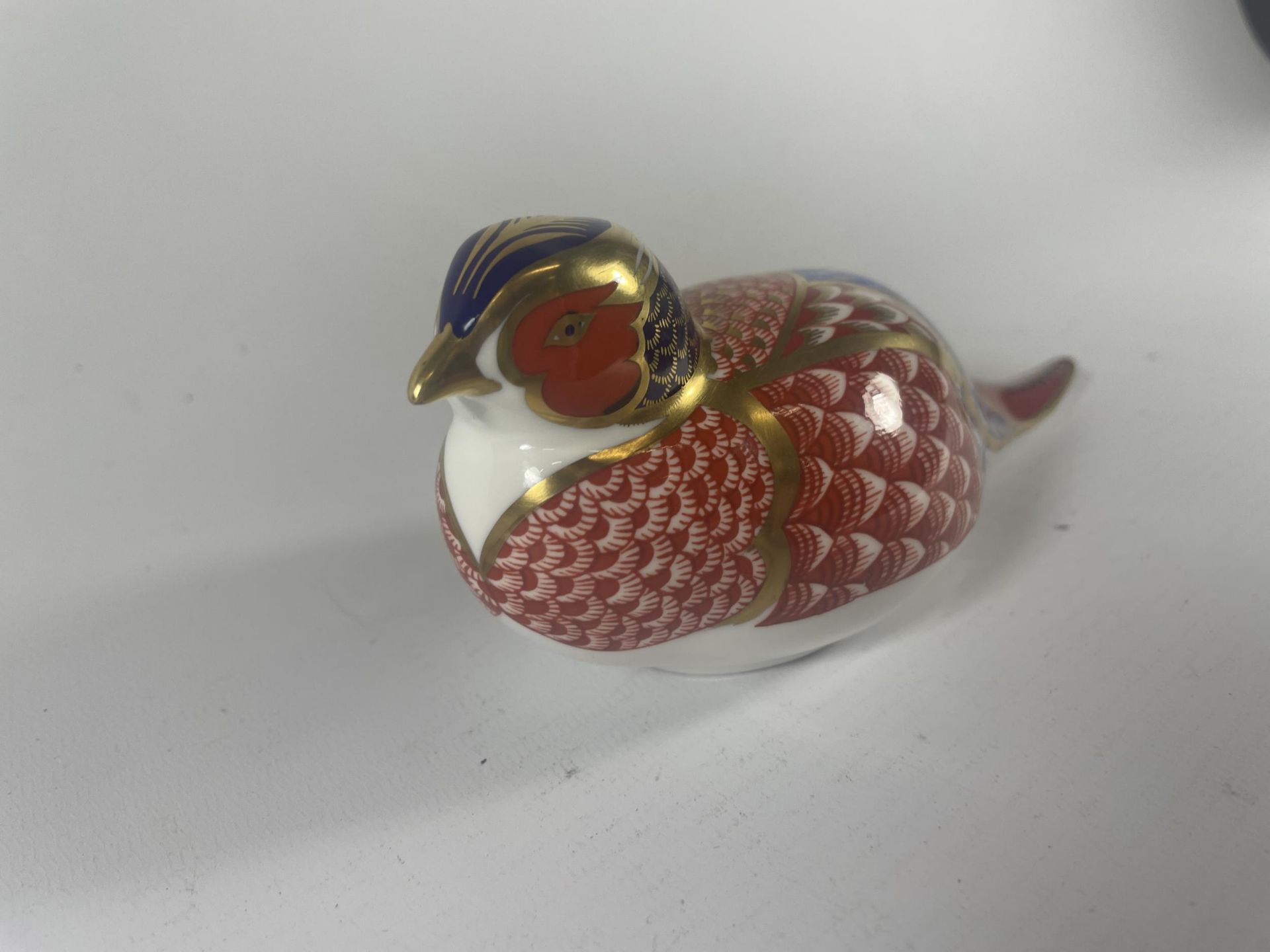 A ROYAL CROWN DERBY PHEASANT PAPERWEIGHT WITH SILVER STOPPER - Image 2 of 4