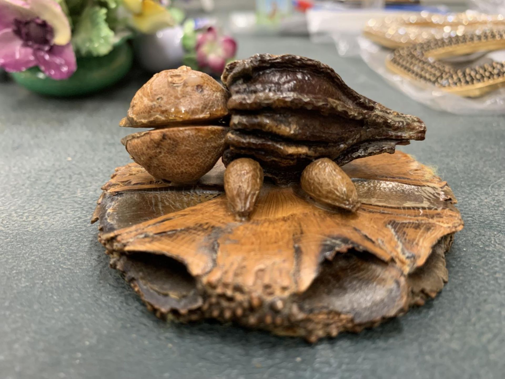 AN AUSTRALIAN WOOD AND NUT MODEL OF A TURTLE - Image 3 of 4