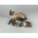 THREE ROYAL DOULTON CATS TO INCLUDE SIAMESE HN2662 (SECONDS)